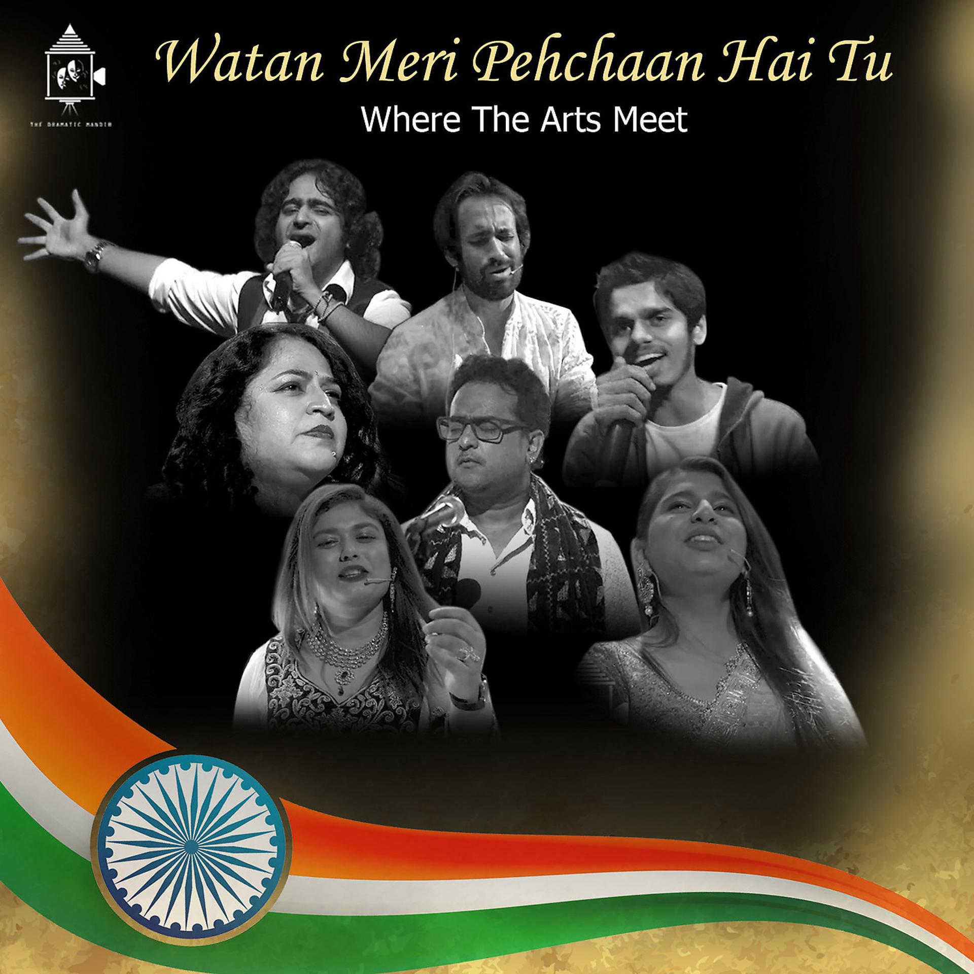 Постер альбома Watan Meri Pechaan Hai Tu