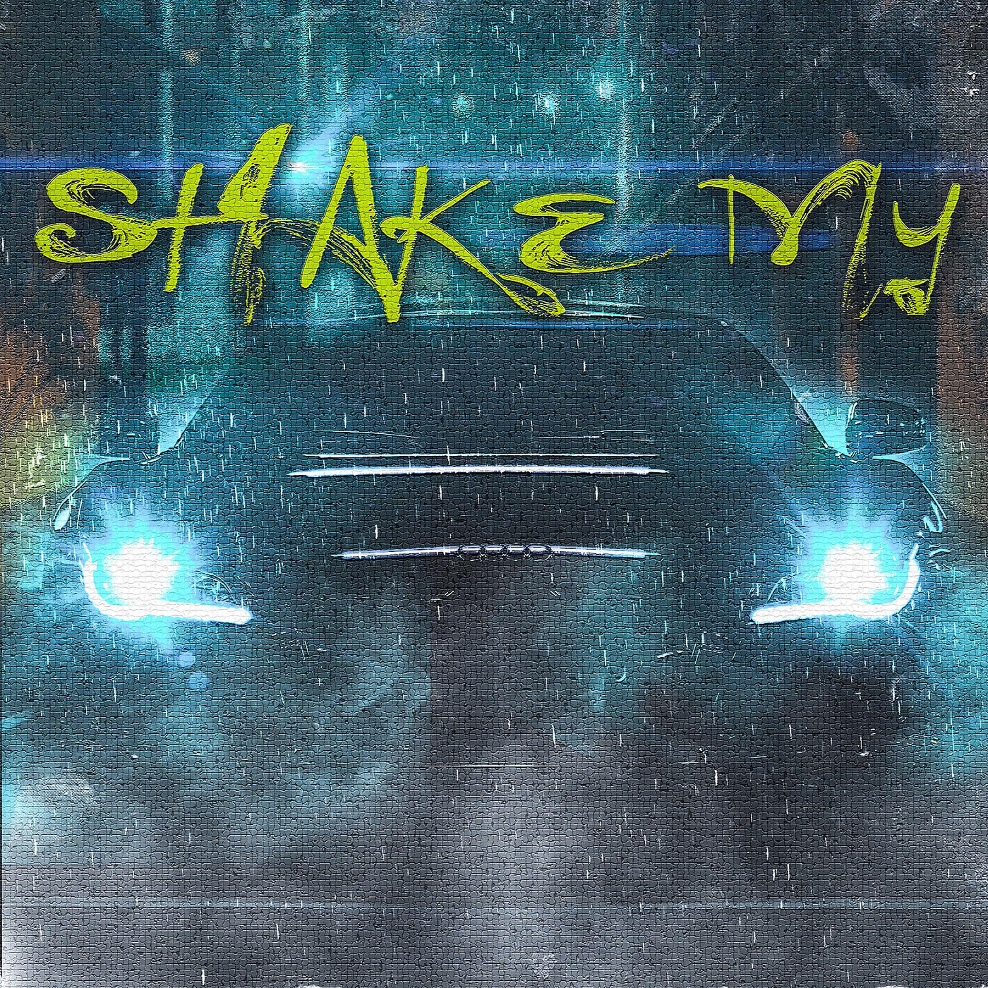 Постер альбома Shake My