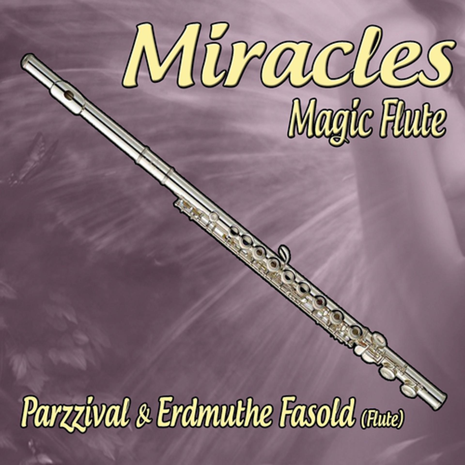 Постер альбома Miracles: Magic Flute