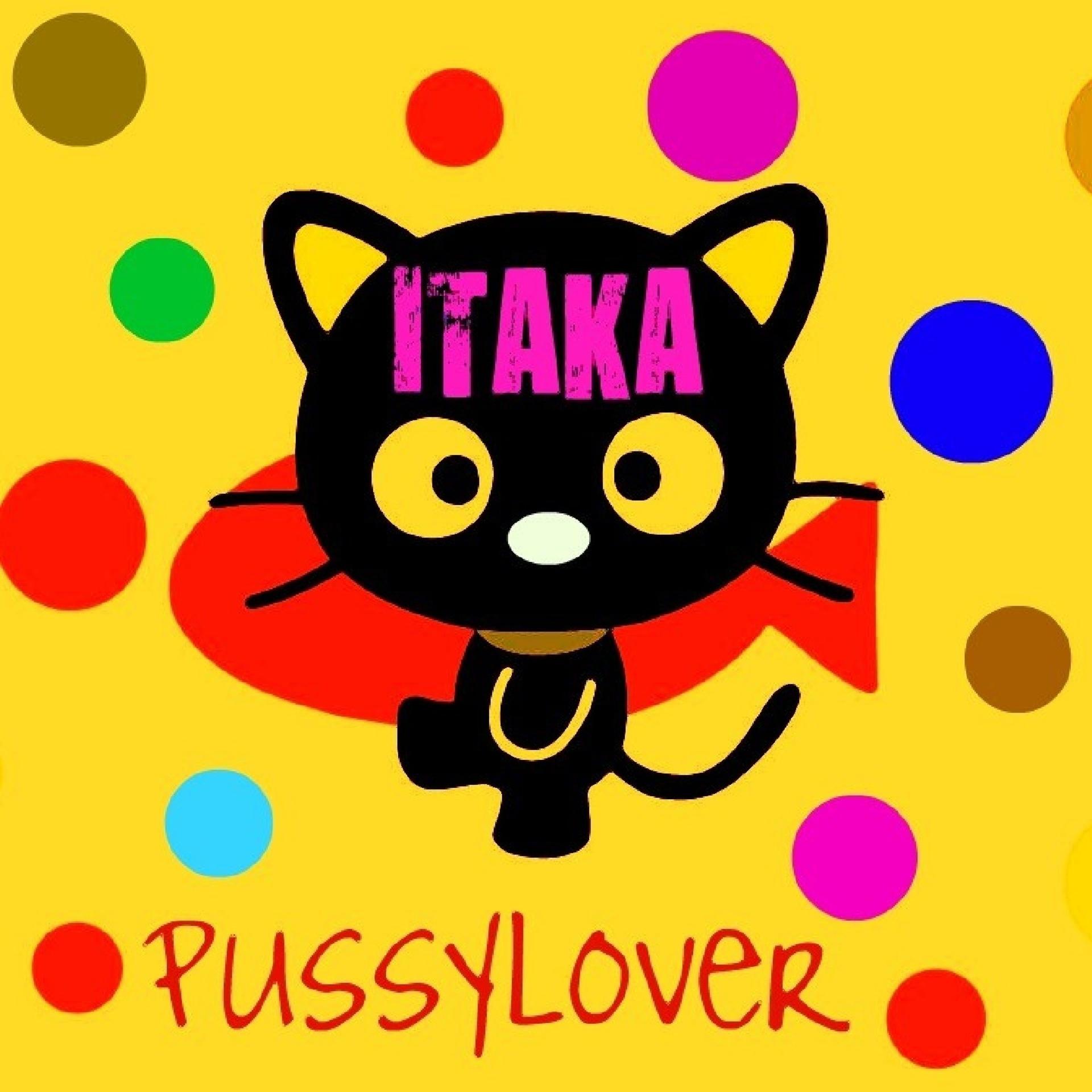 Постер альбома Pussy Lover