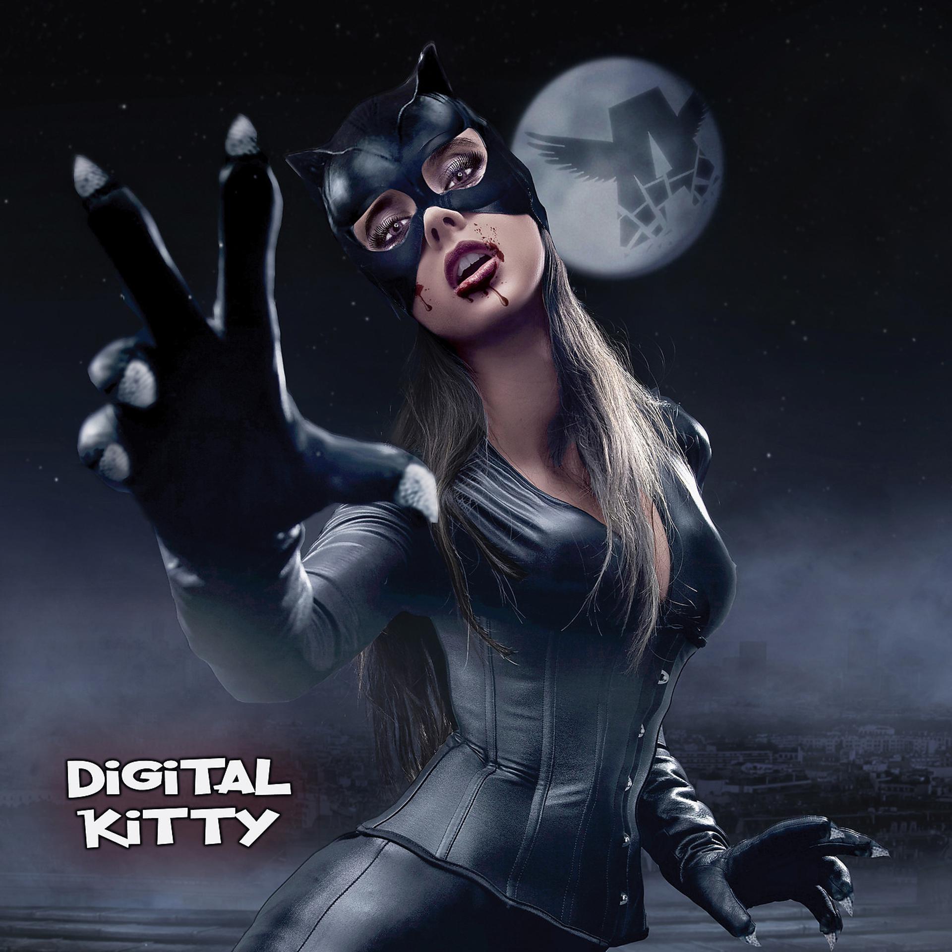 Постер альбома Digital Kitty