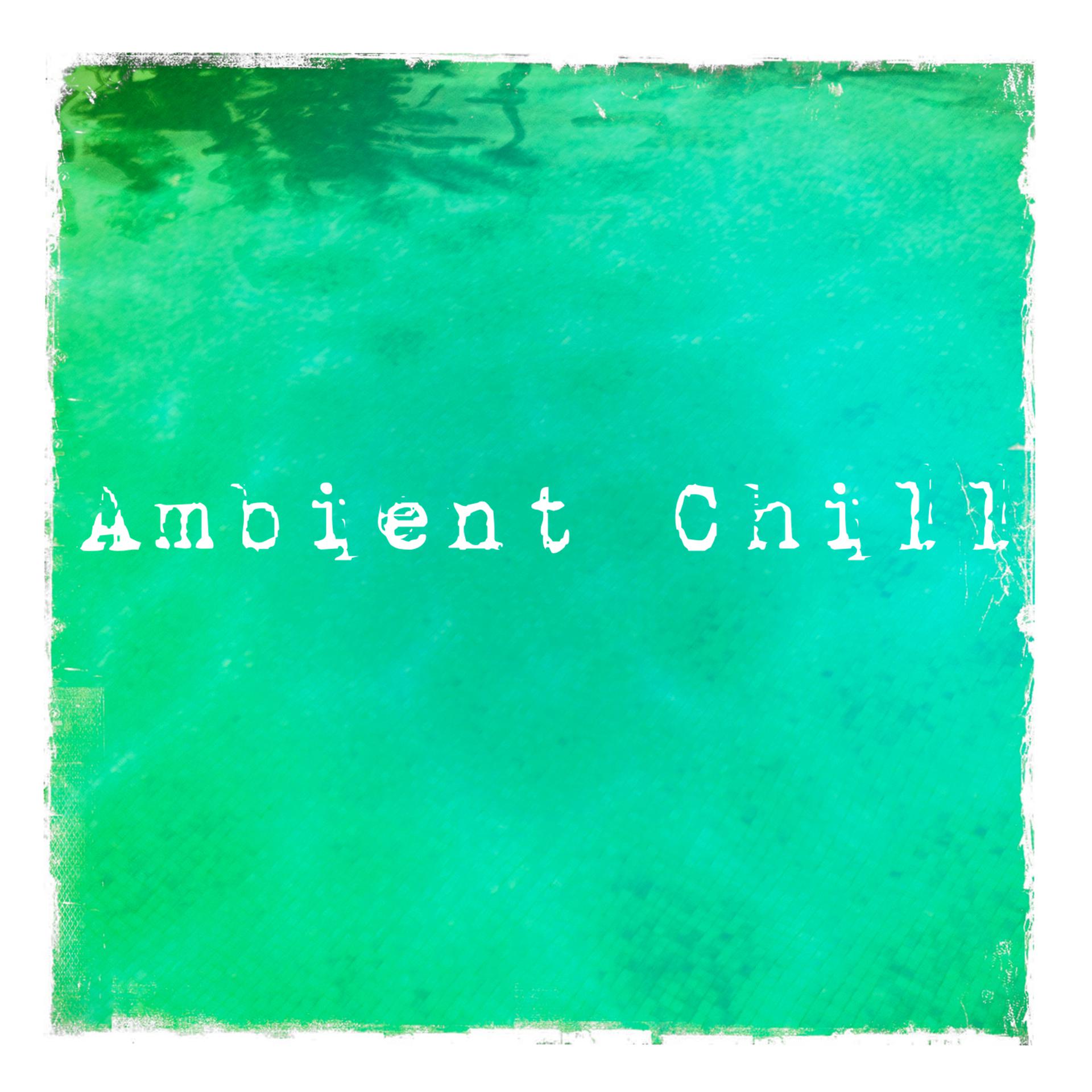 Постер альбома Ambient Chill