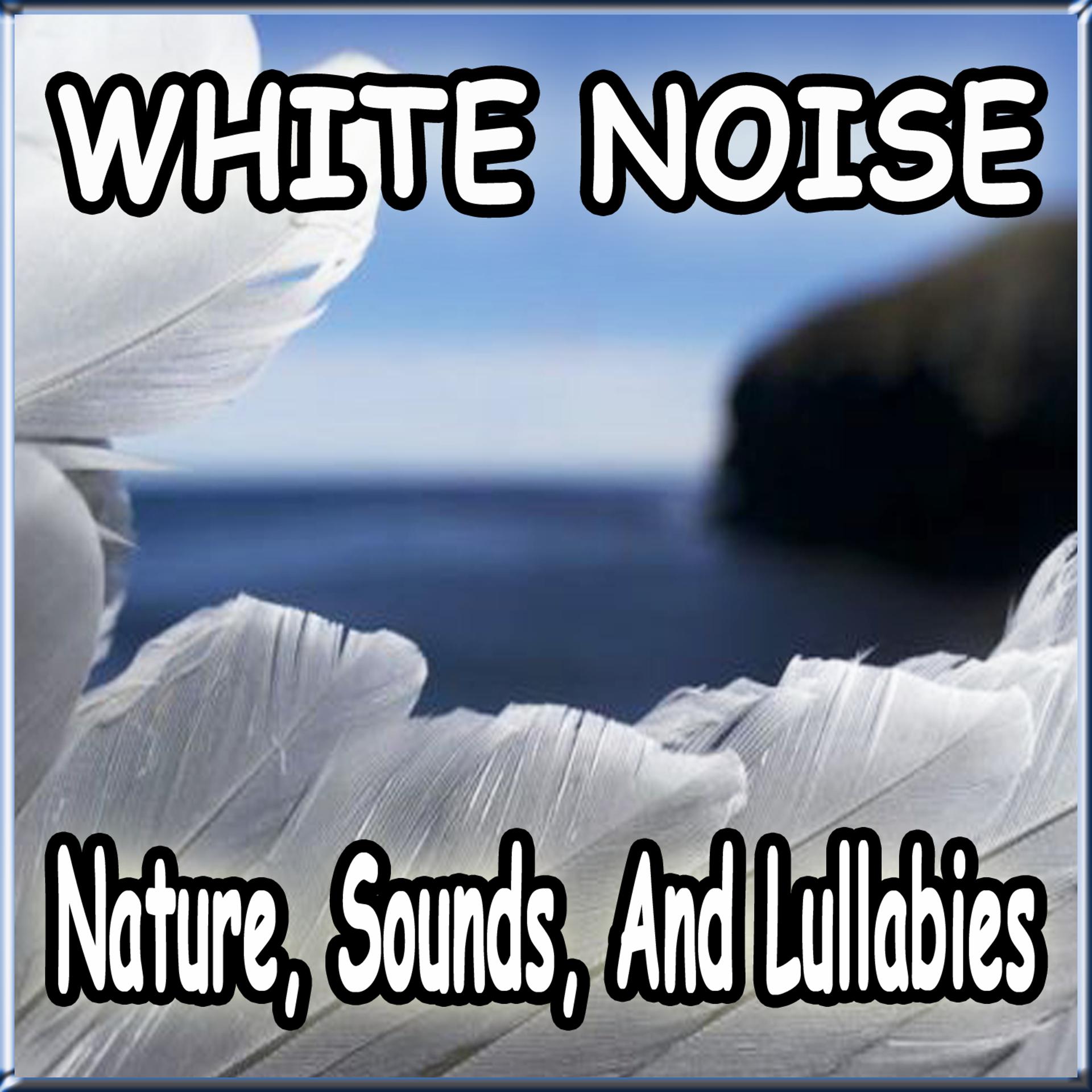 Постер альбома White Noise, Nature Sounds, and Lullabies