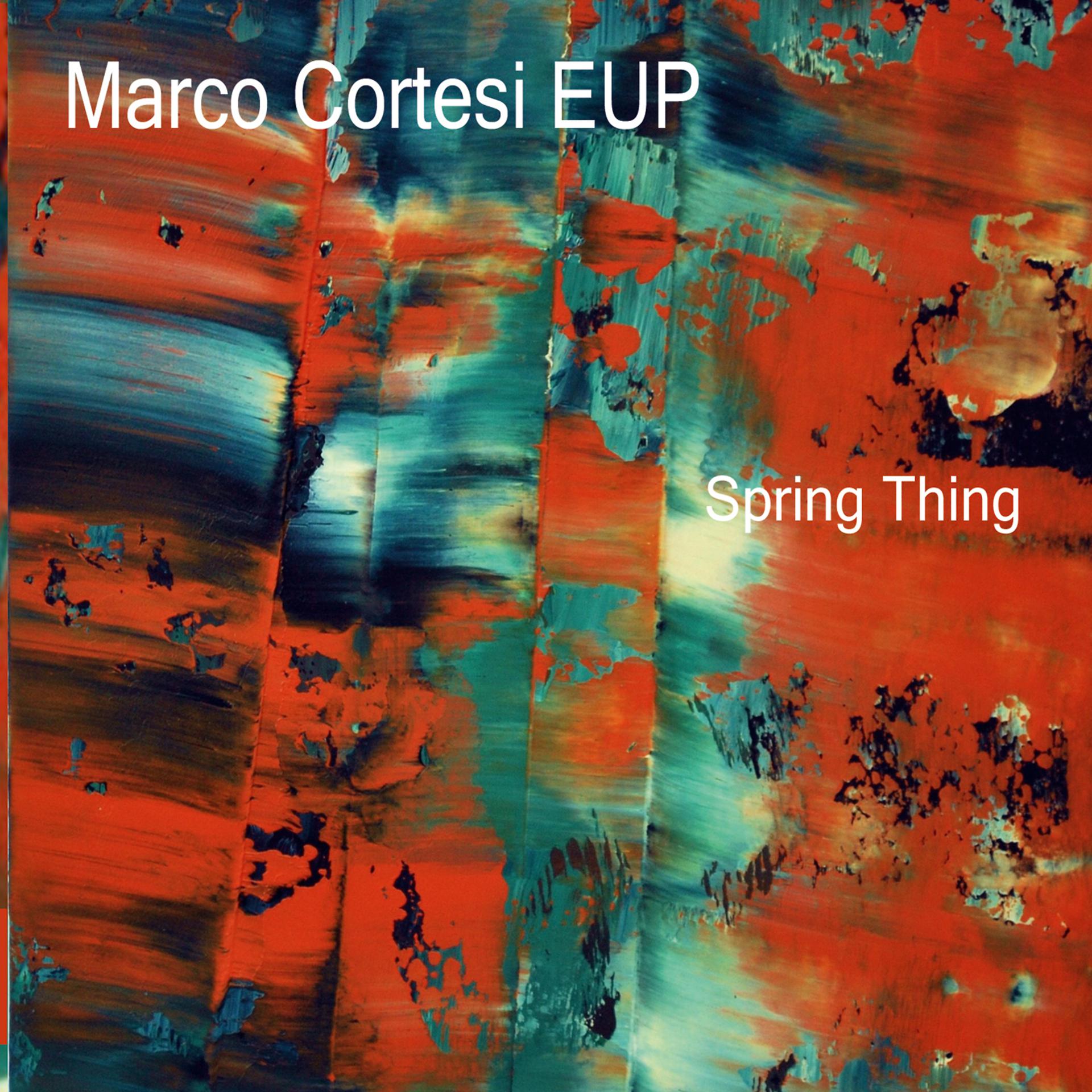 Постер альбома Spring Thing