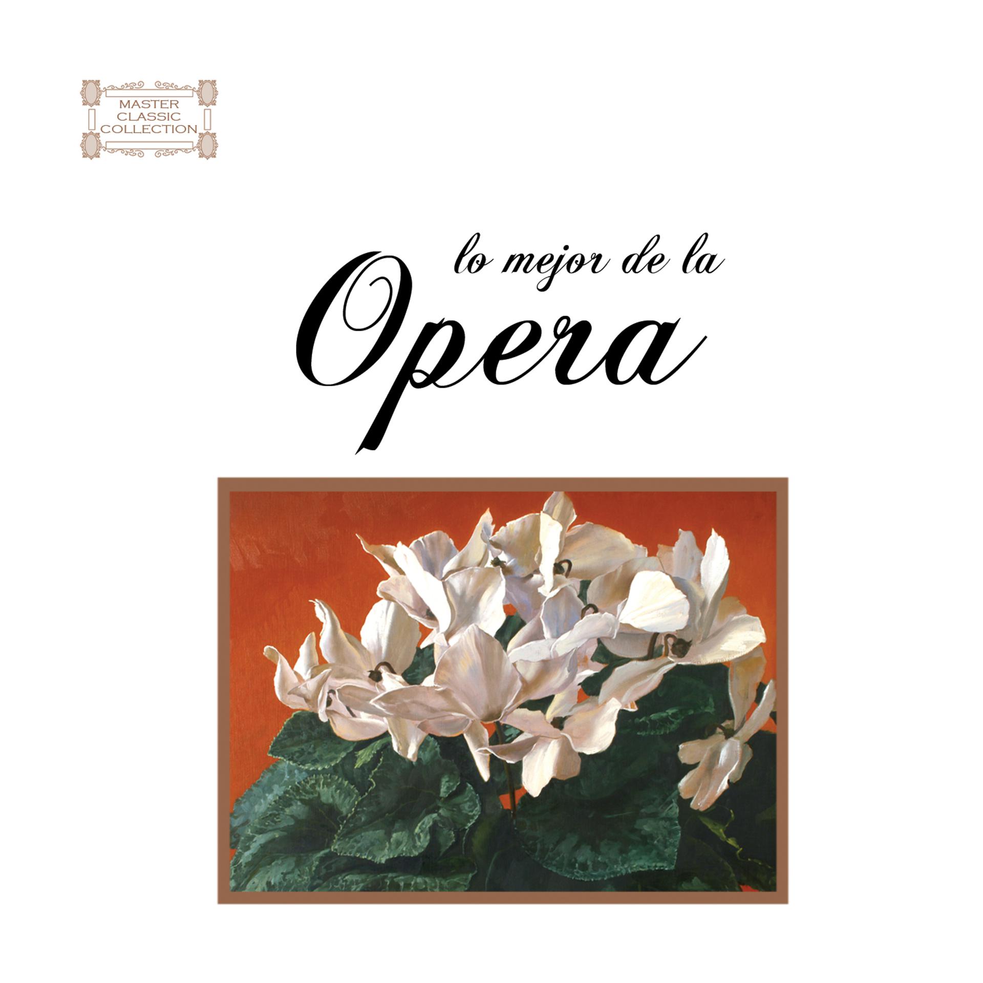 Постер альбома Lo Mejor De La Opera