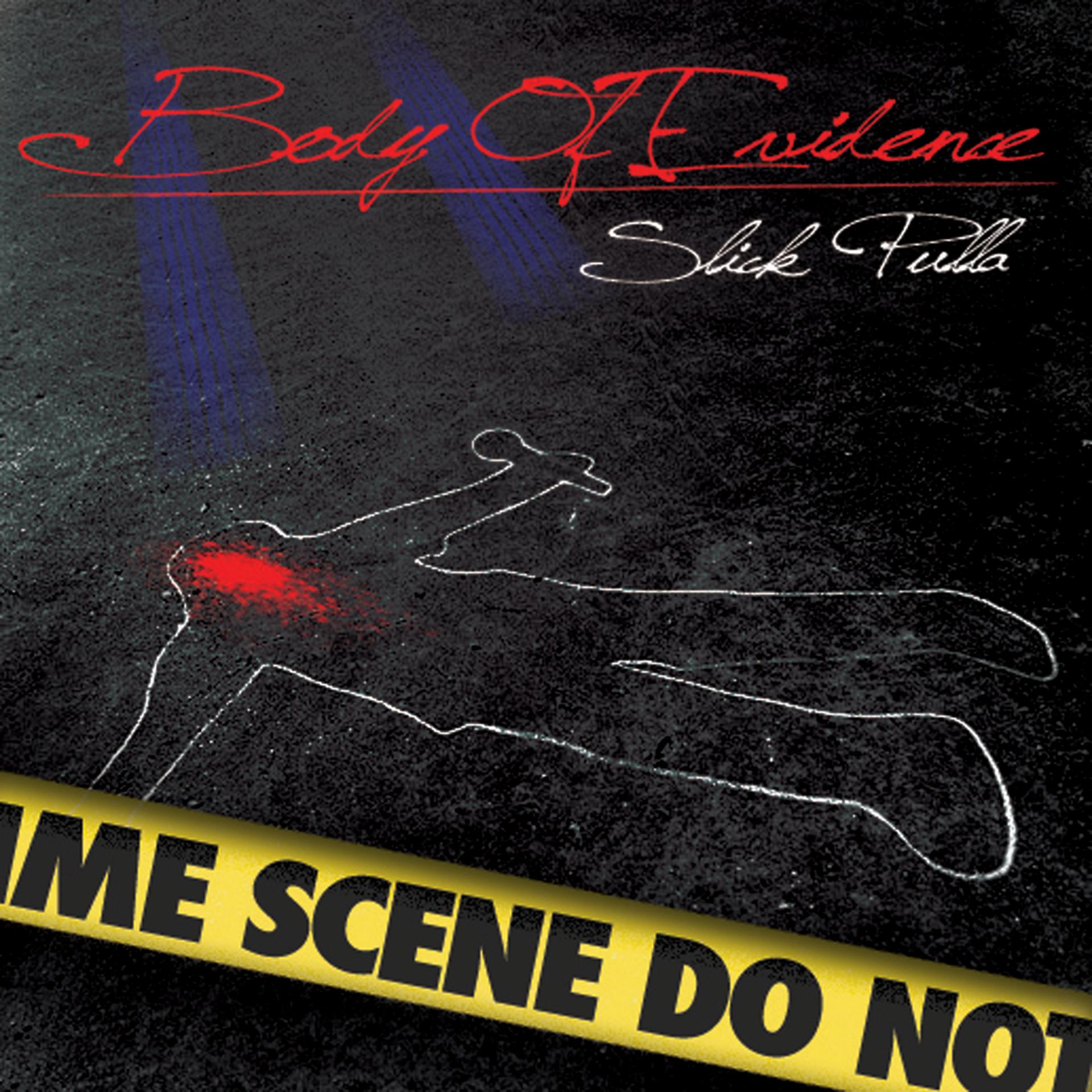 Постер альбома Body of Evidence