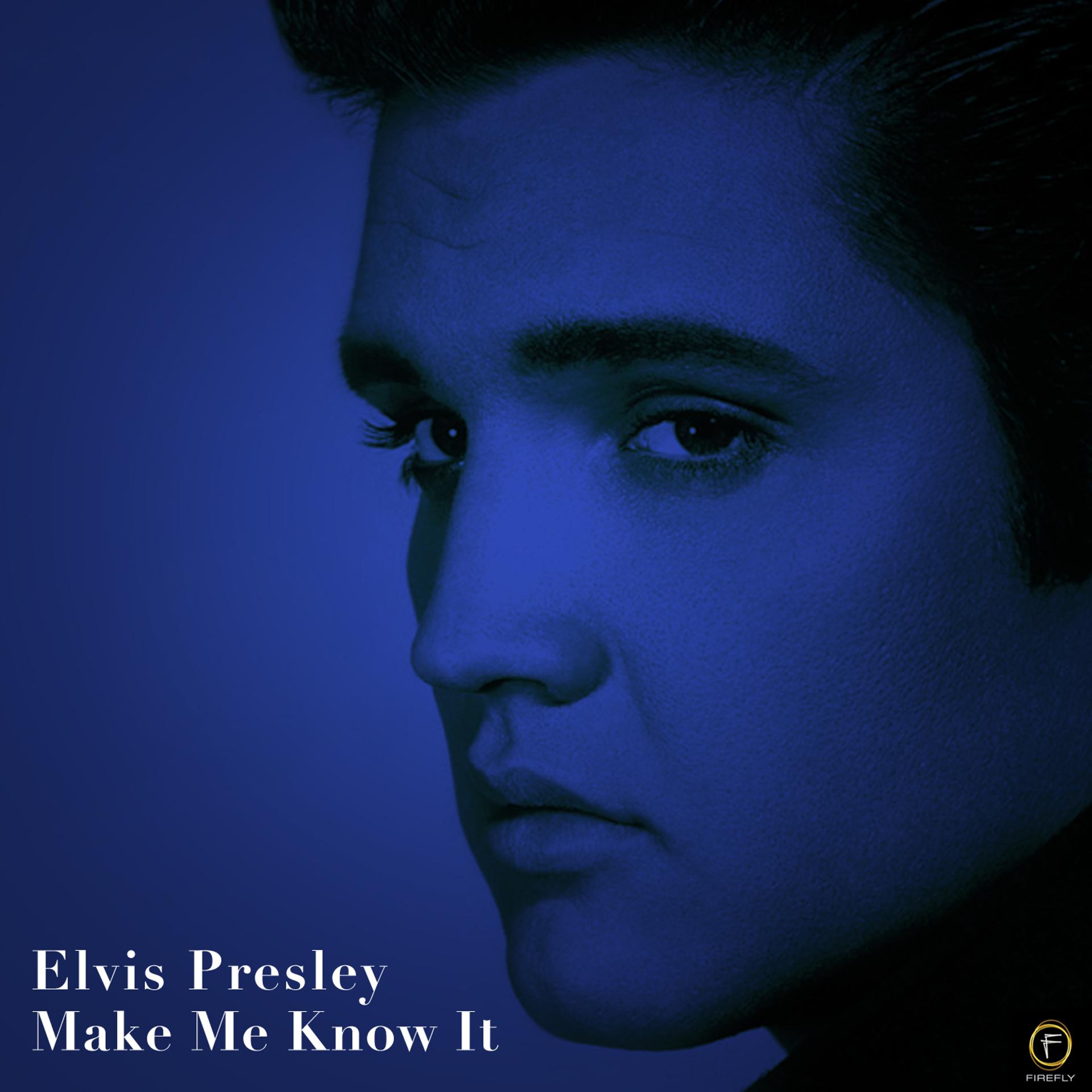 Постер альбома Elvis Presley, Make Me Know It