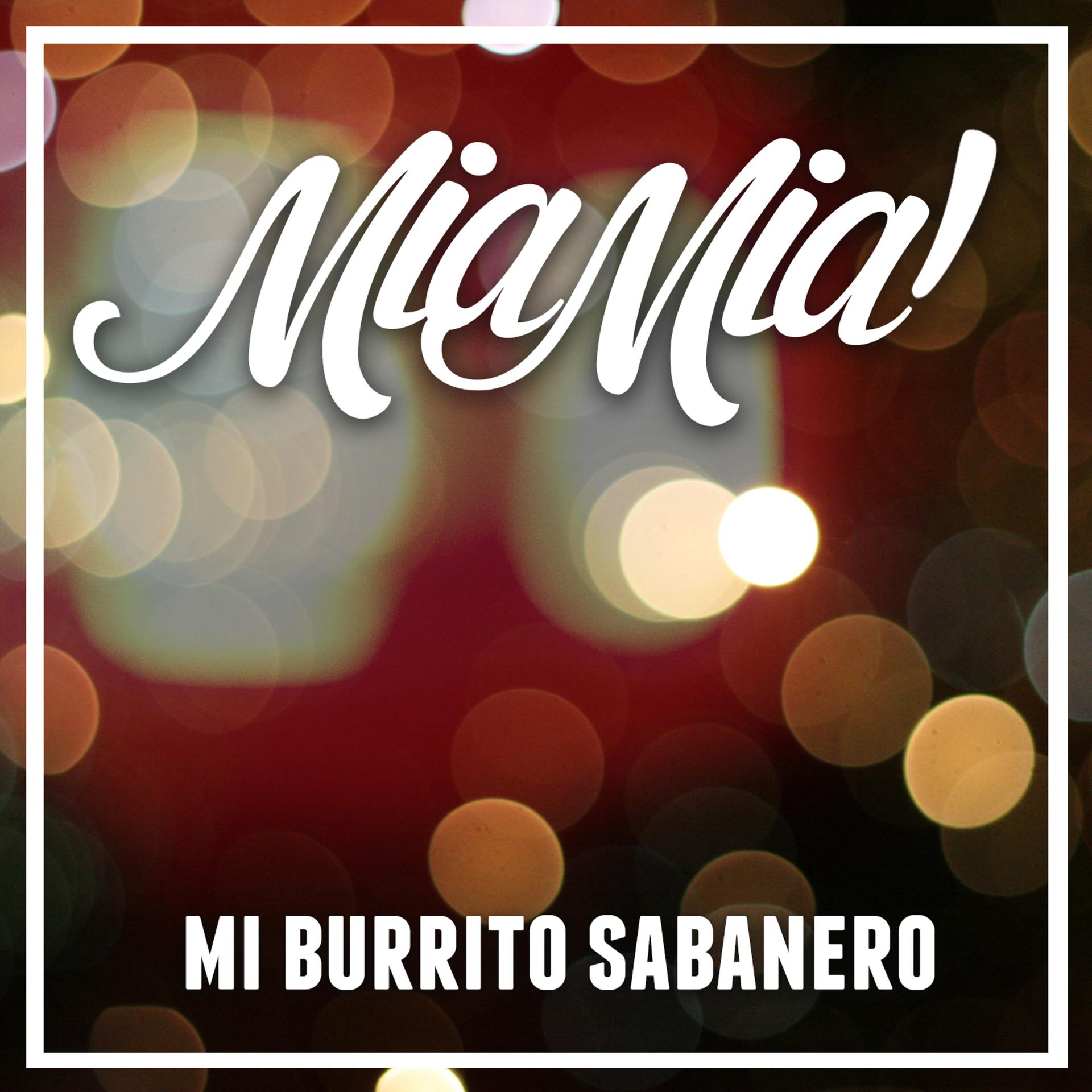 Постер альбома Mi Burrito Sabanero