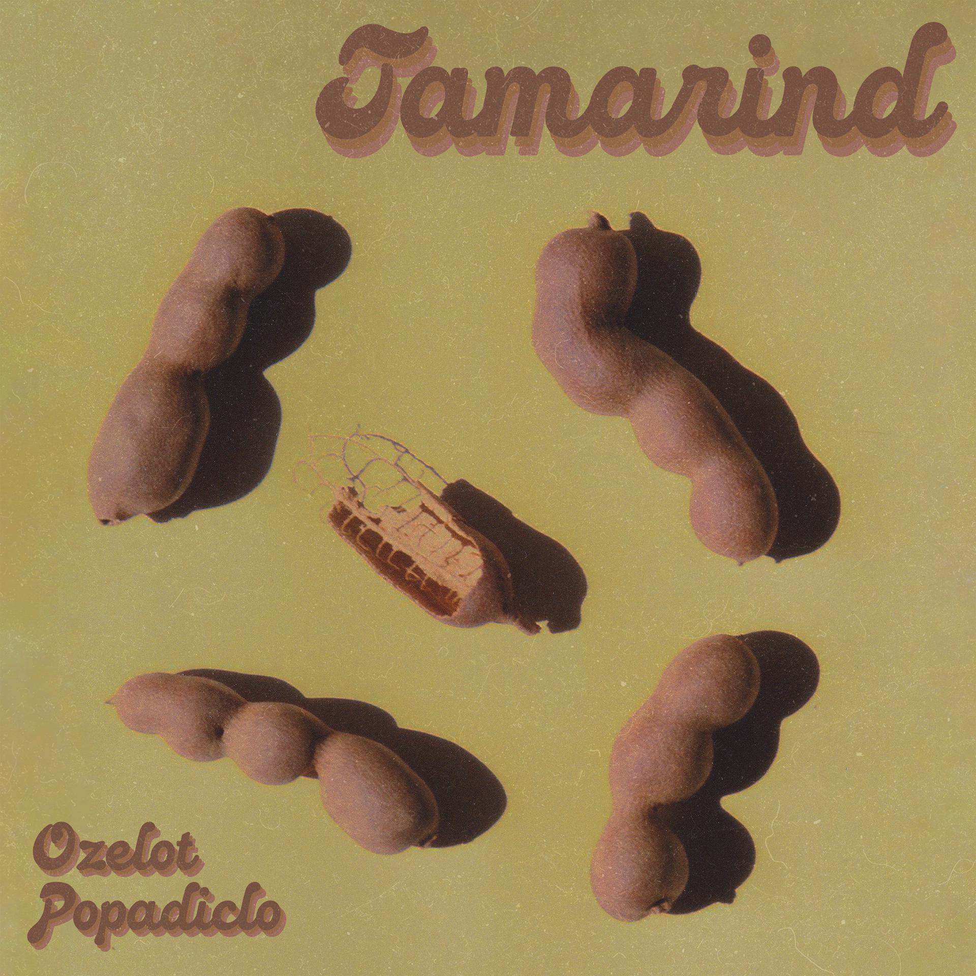 Постер альбома Tamarind