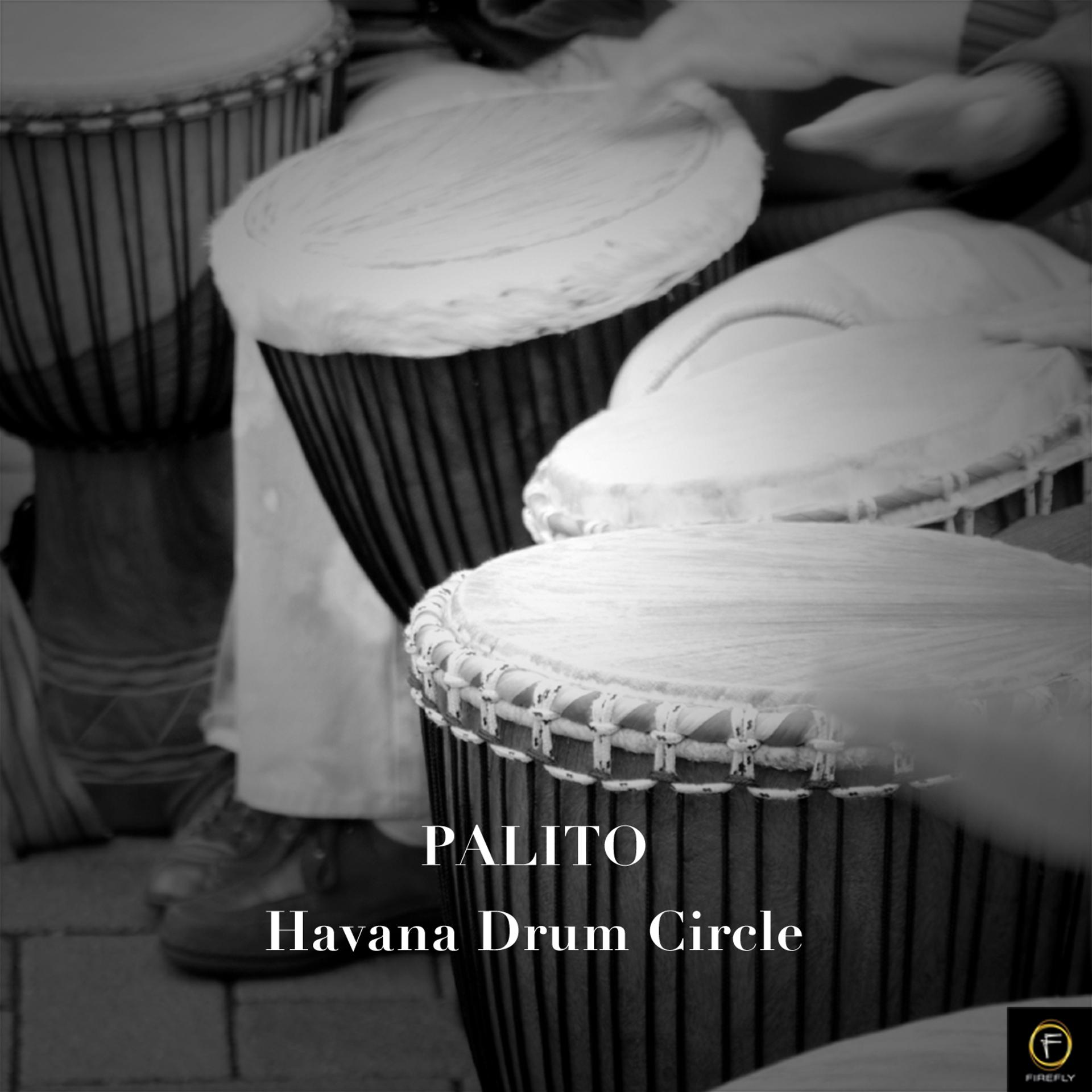 Постер альбома Palito, Havana Drum Circle