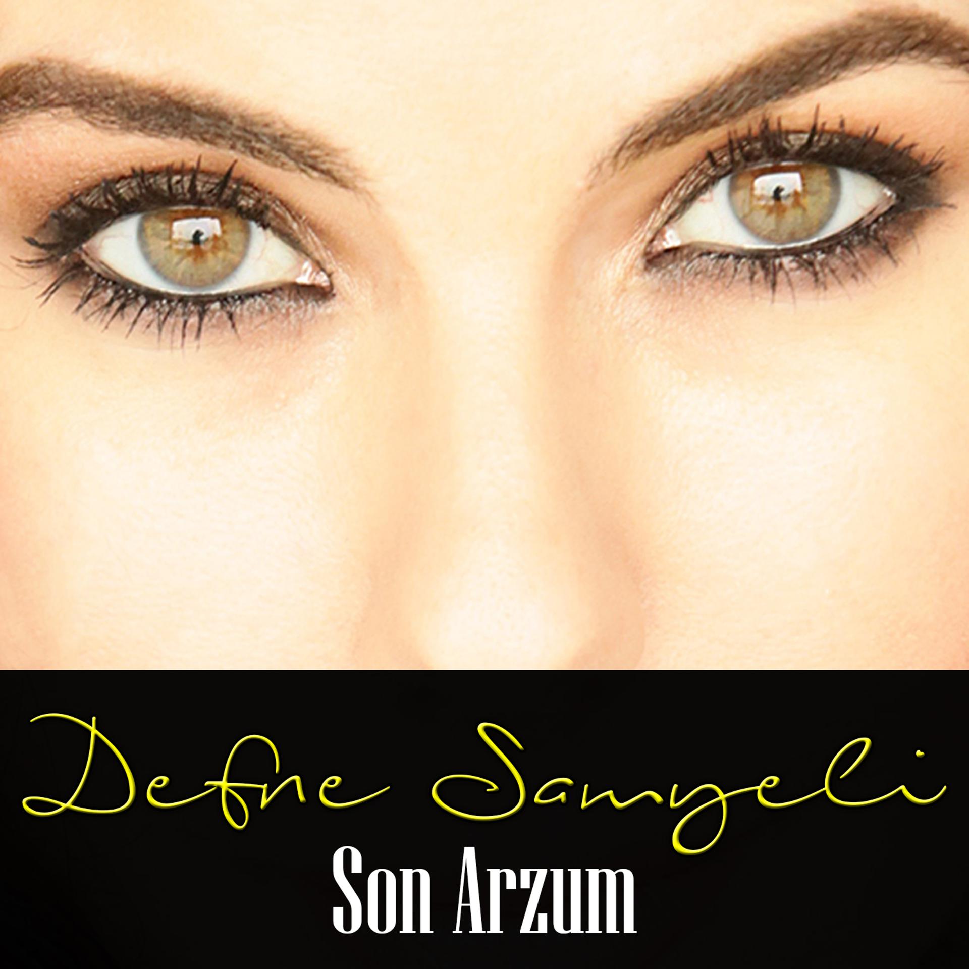 Постер альбома Son Arzum