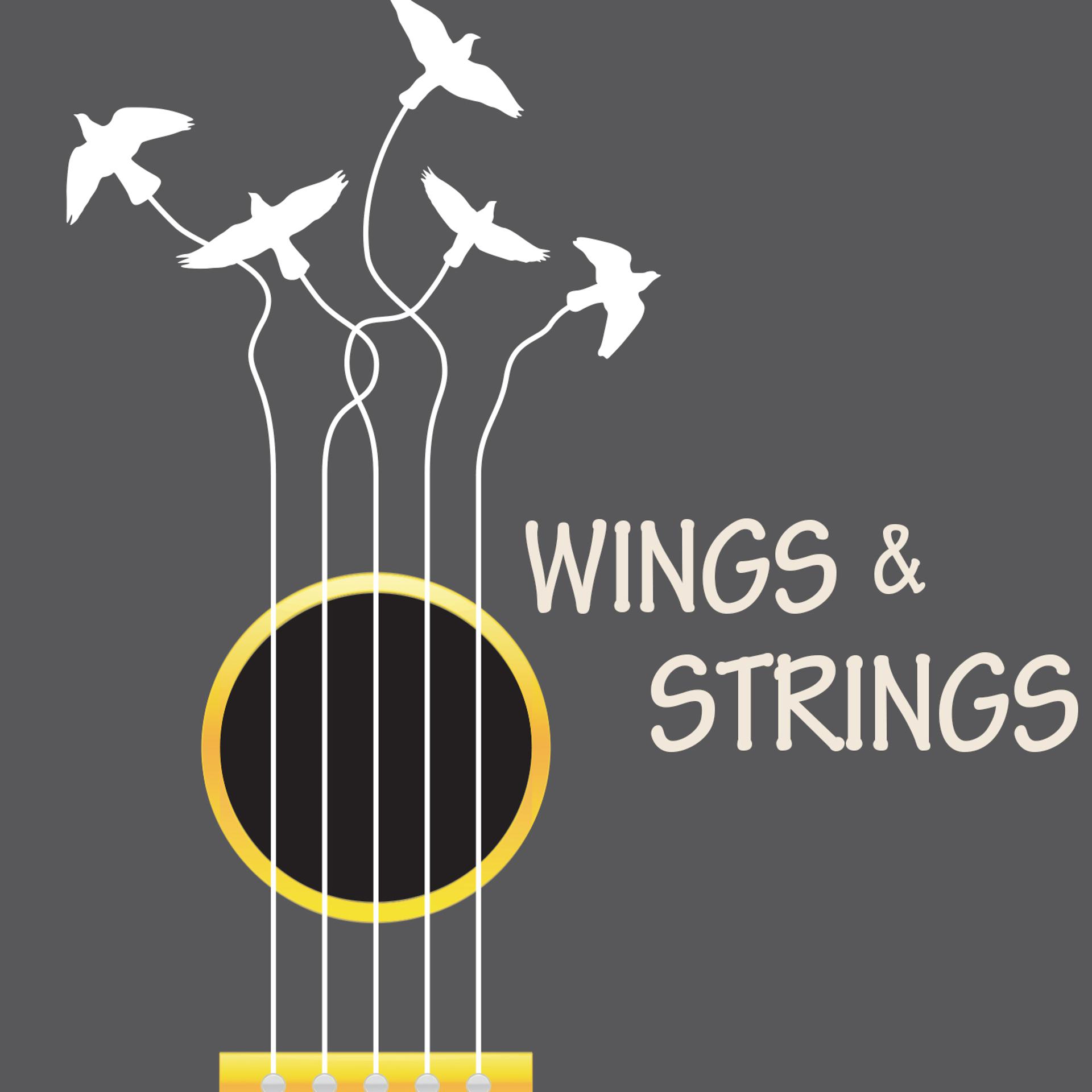 Постер альбома Wings & Strings