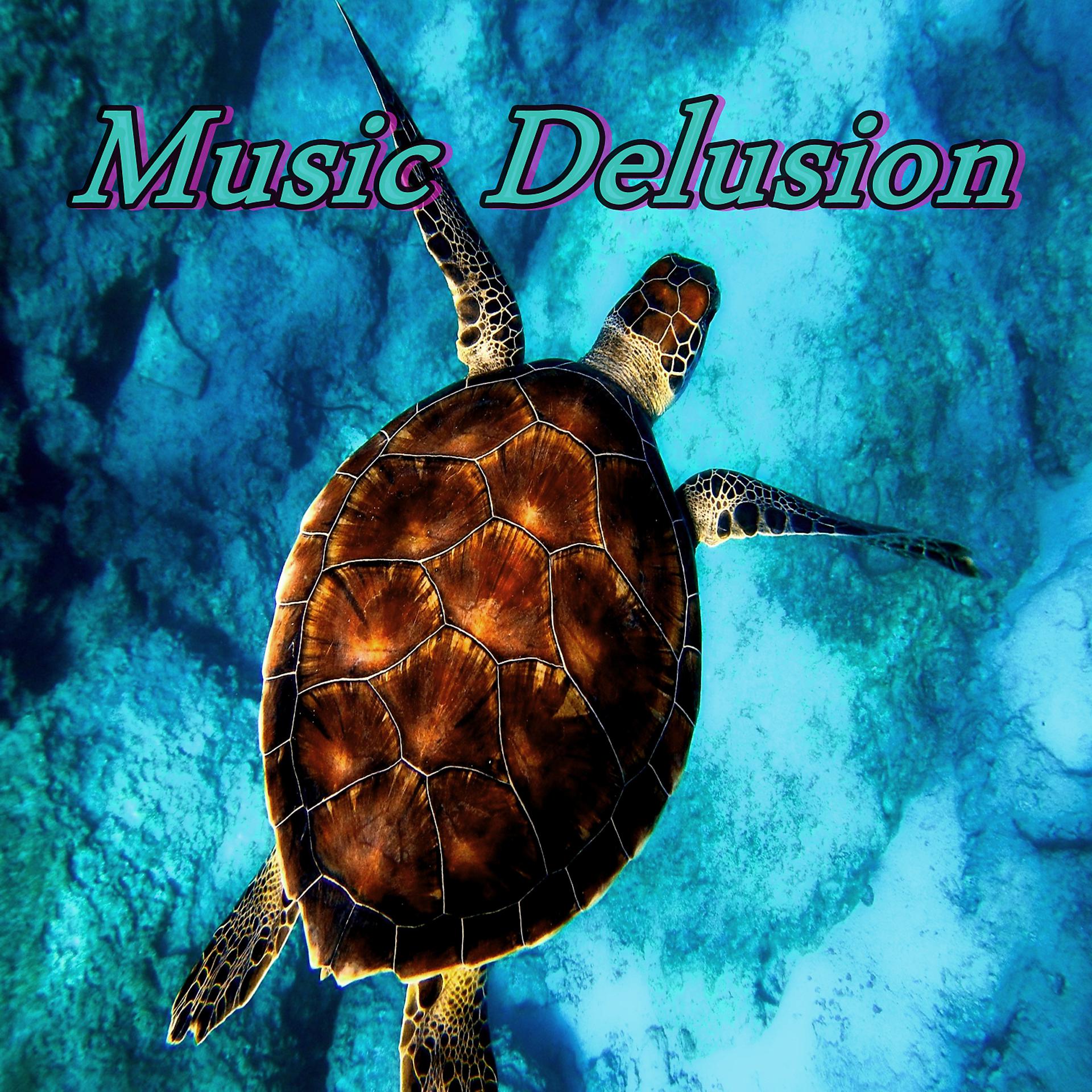 Постер альбома Music Delusion