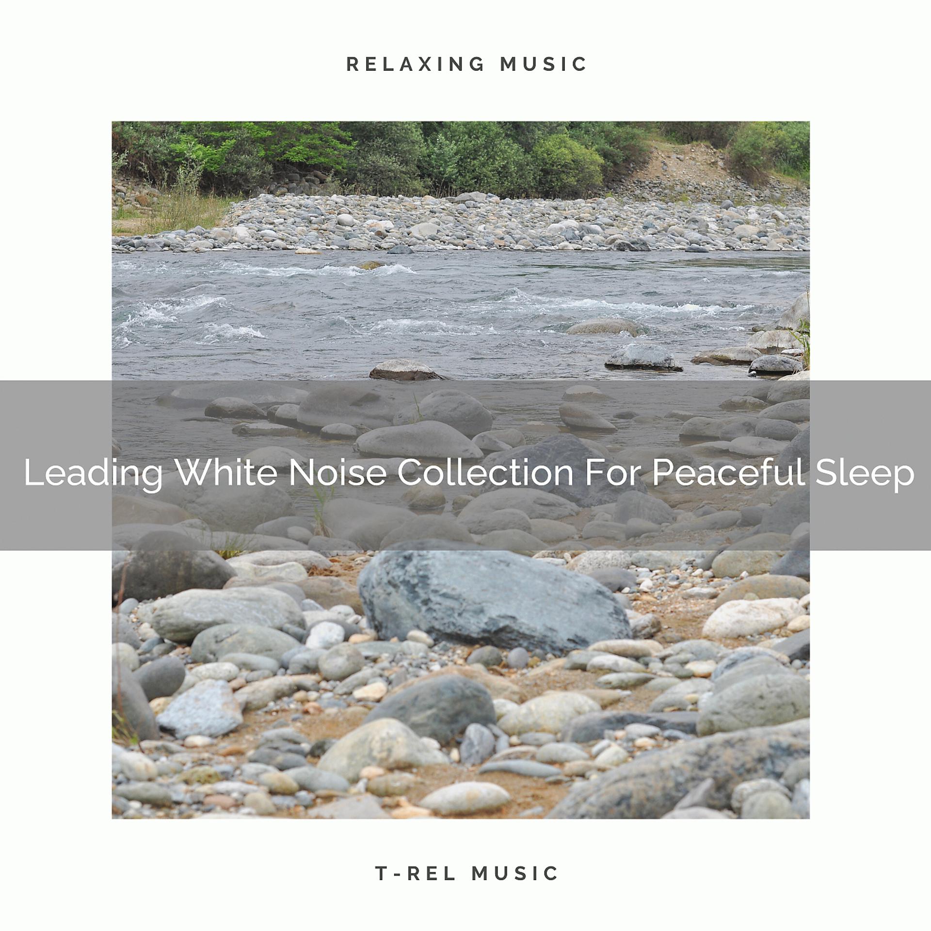 Постер альбома Leading White Noise Collection For Peaceful Sleep