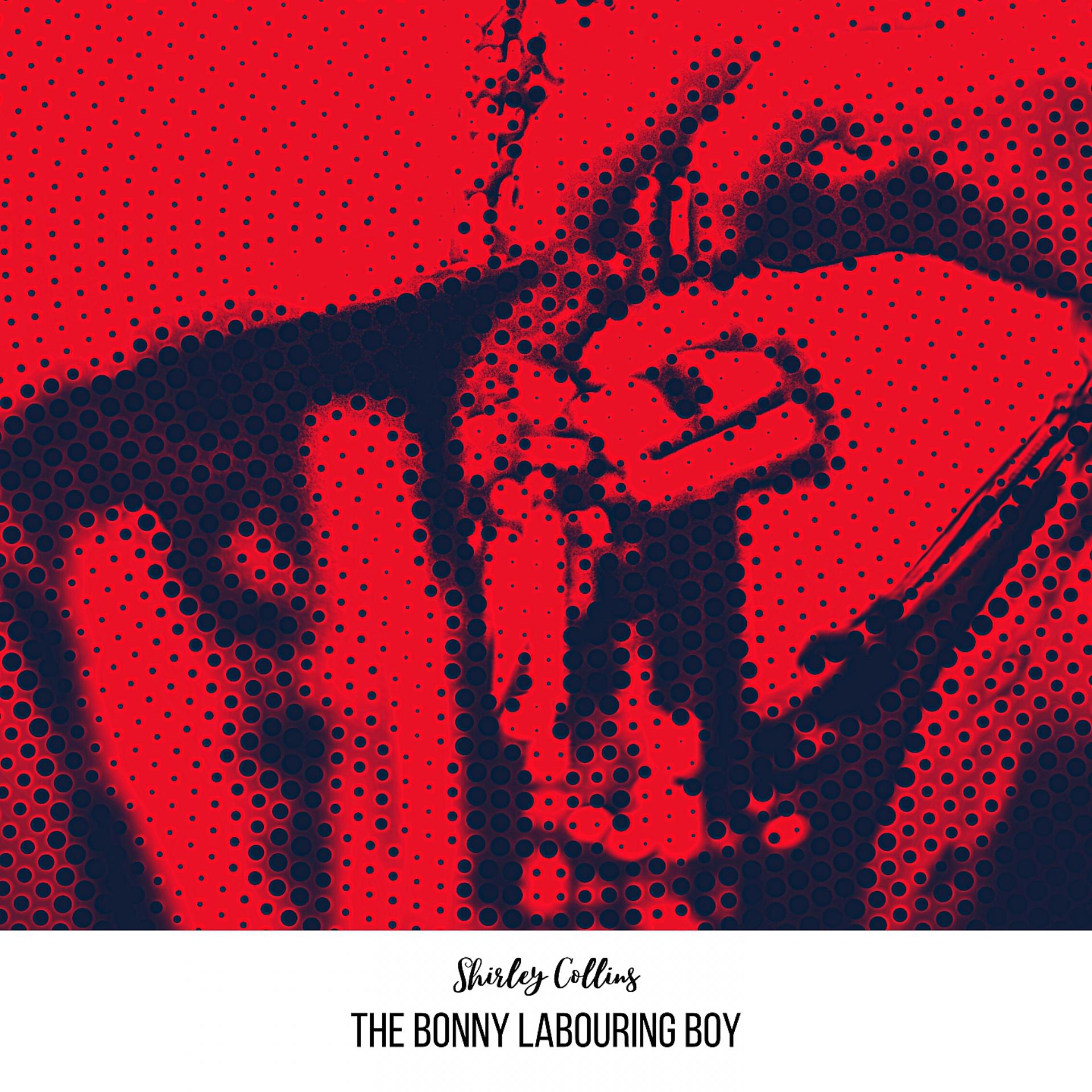 Постер альбома The Bonny Labouring Boy