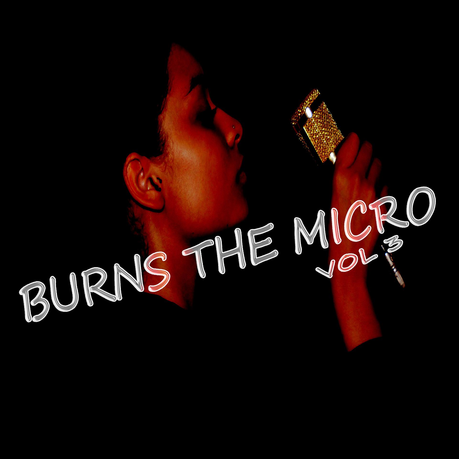 Постер альбома Burns The Micro, Vol. 3