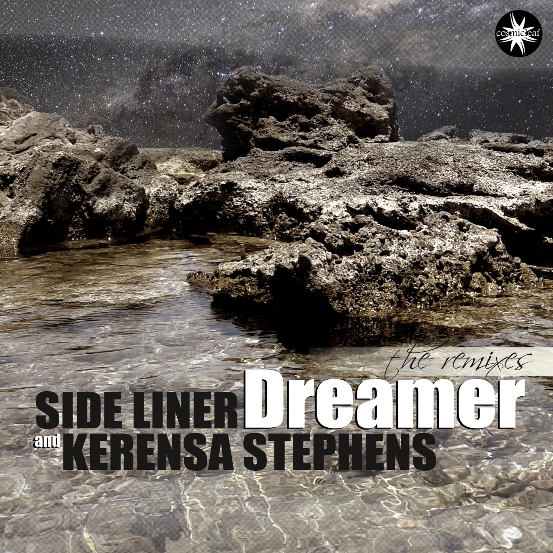 Постер альбома Dreamer (The Remixes)