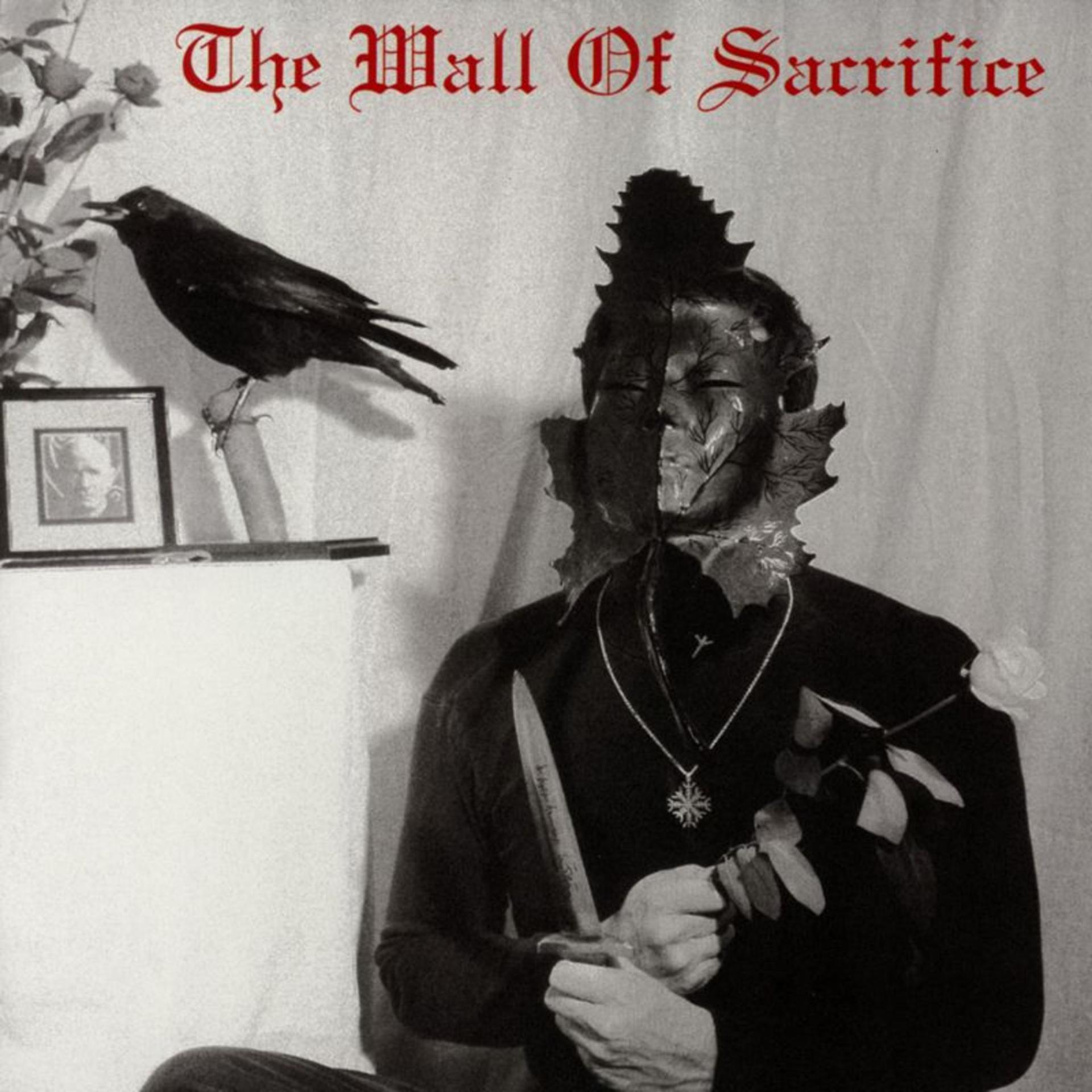 Постер альбома The Wall of Sacrifice