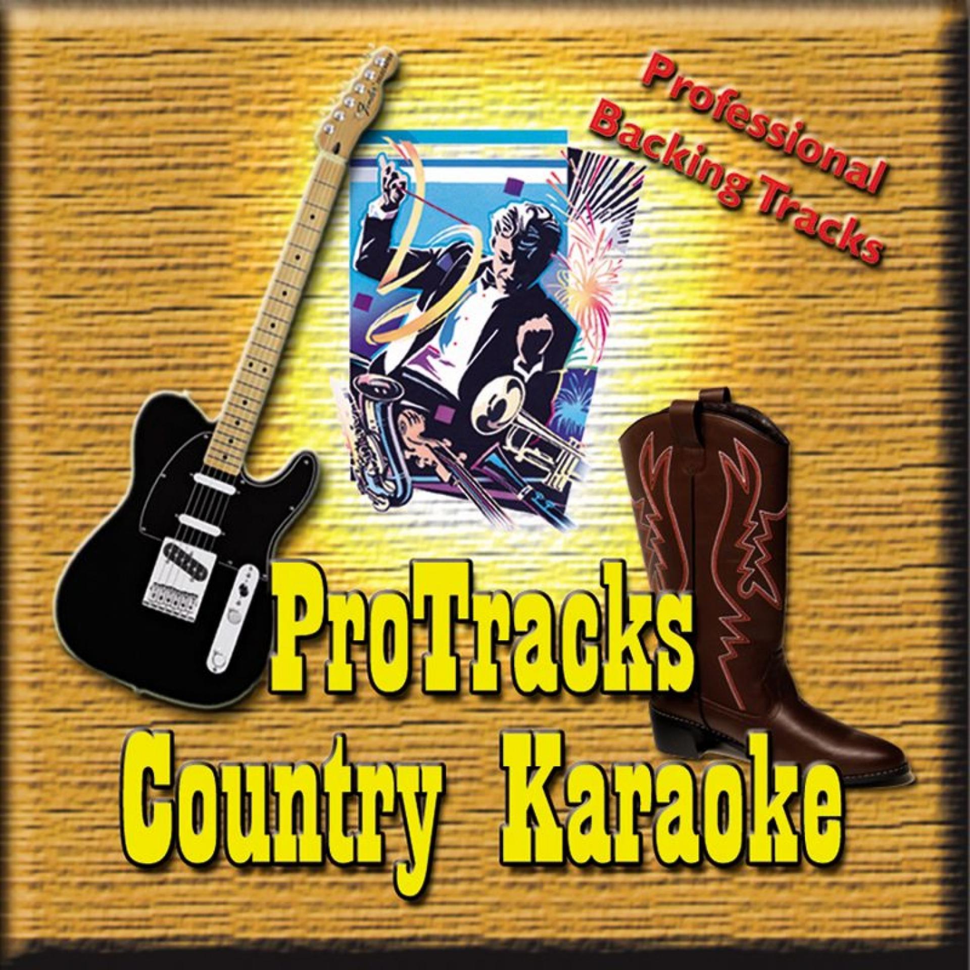 Постер альбома Karaoke - Country July 2008