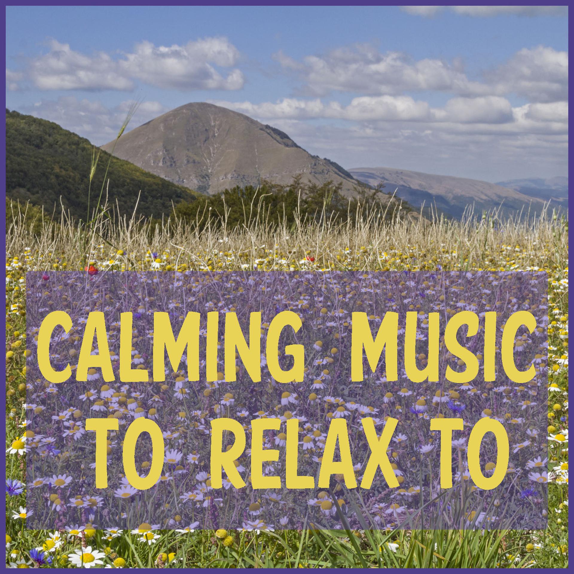 Постер альбома Calming Music to Relax to Featuring Zen Meditation, Deep Focus Music, & Relaxing Piano Music Consort