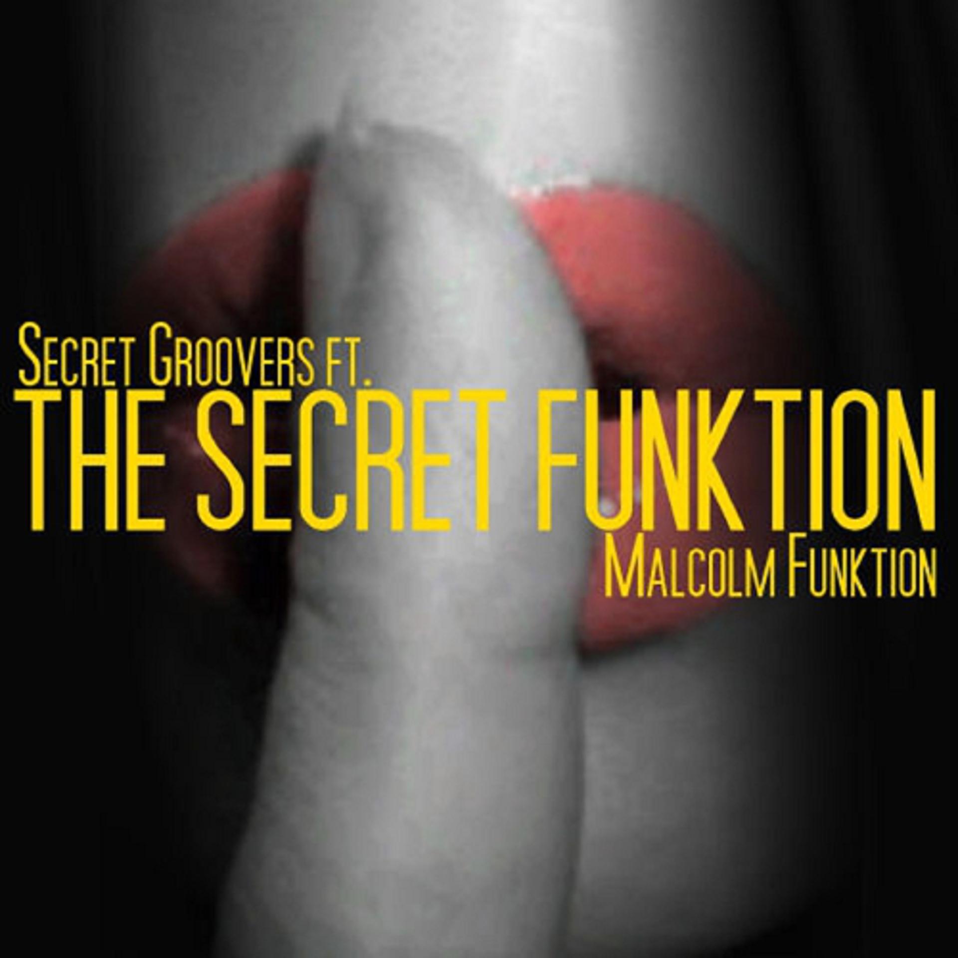 Постер альбома The Secret Funktion