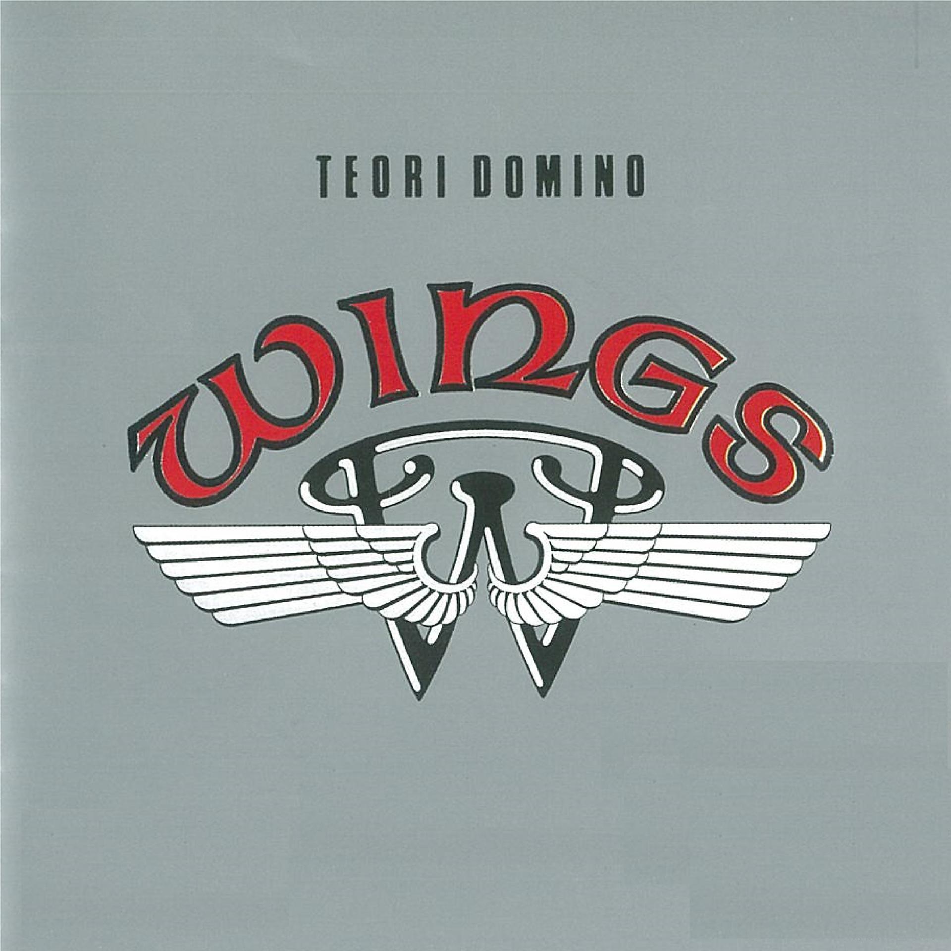 Постер альбома Teori Domino