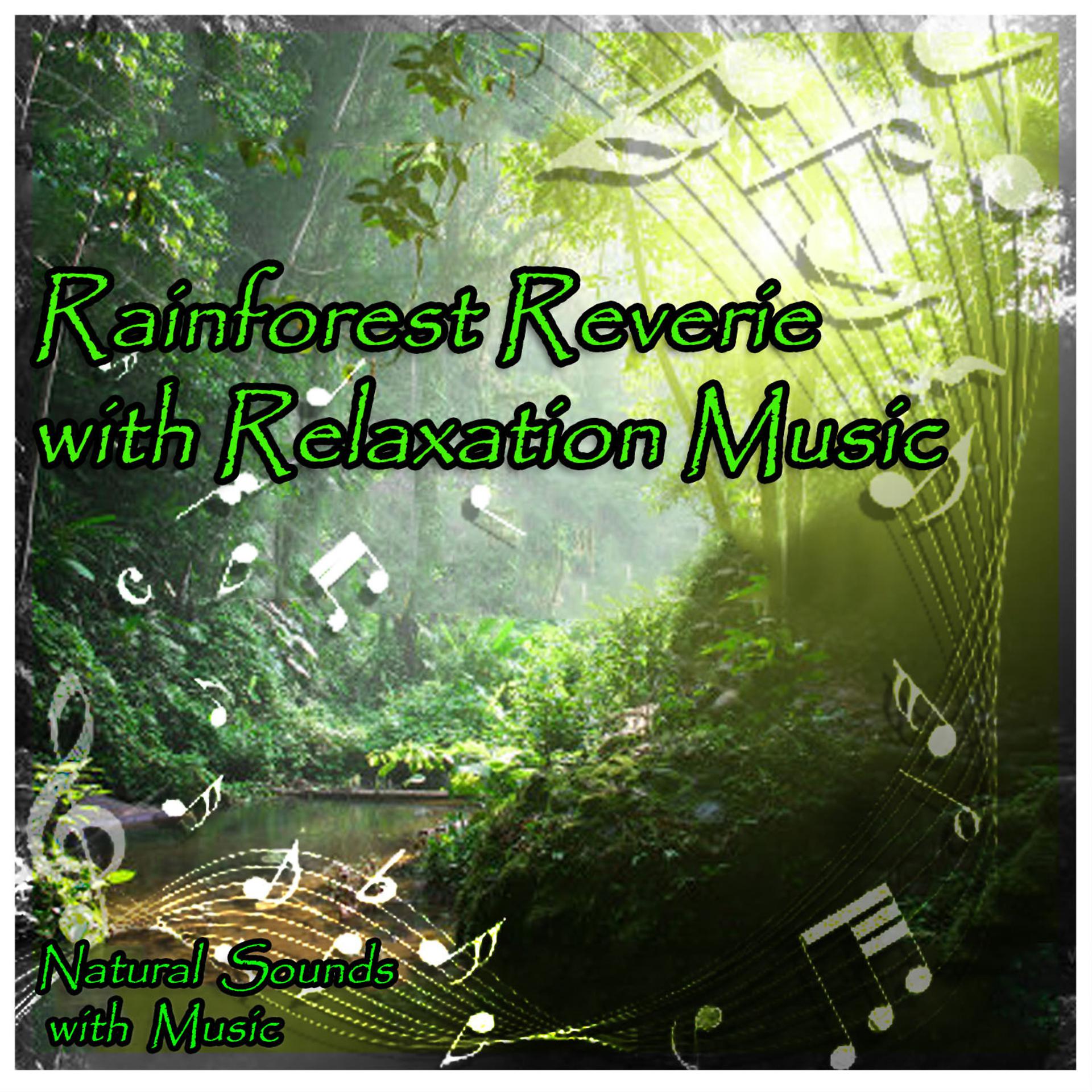 Постер альбома Rainforest Reverie with Relaxation Music