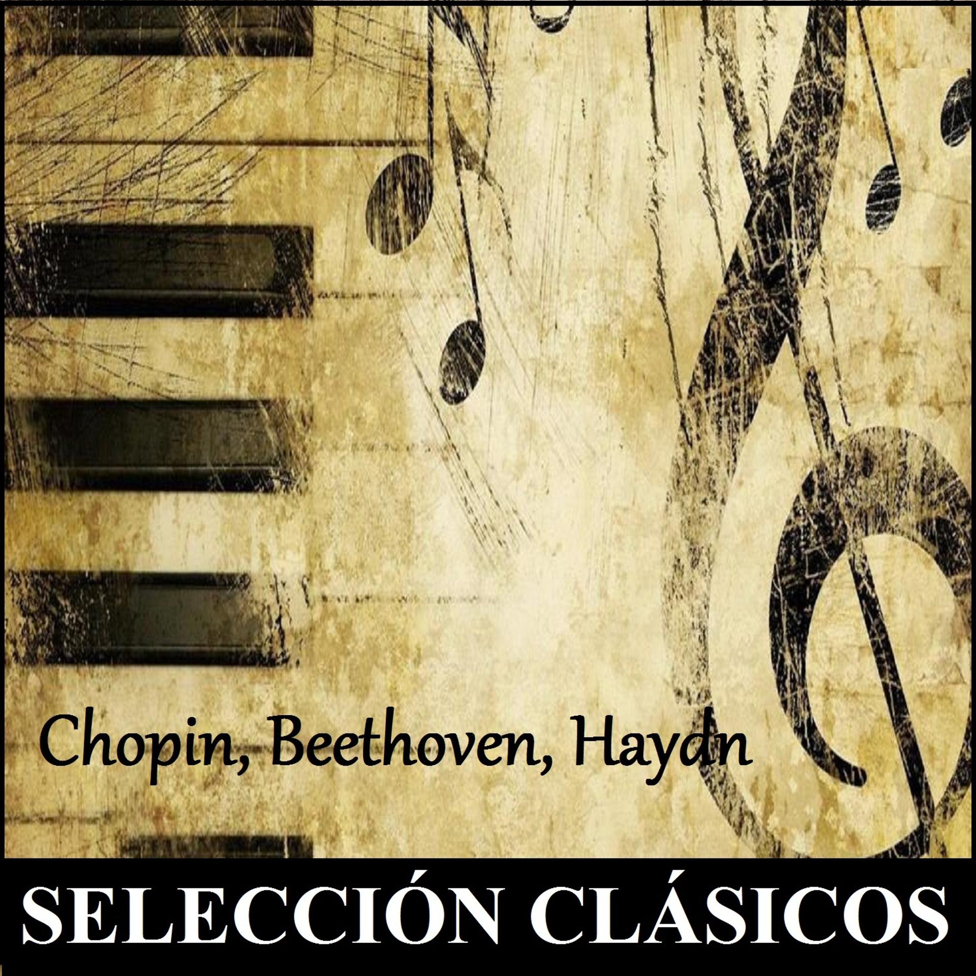 Постер альбома Selección Clásicos - Chopin, Beethoven, Haydn