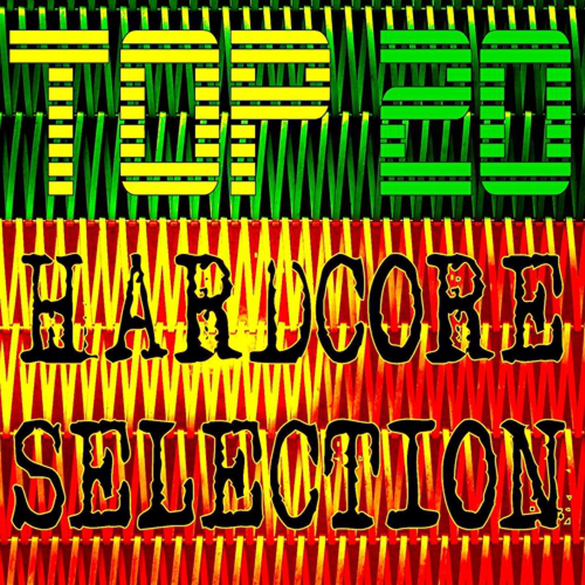 Постер альбома Top 20 Hardcore Selection
