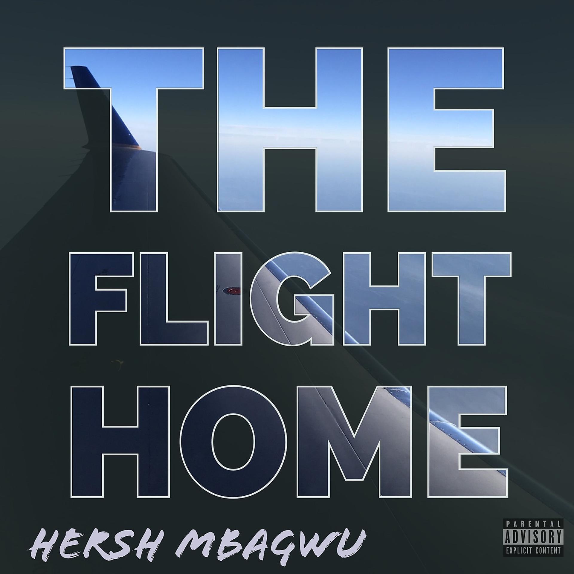 Постер альбома The Flight Home