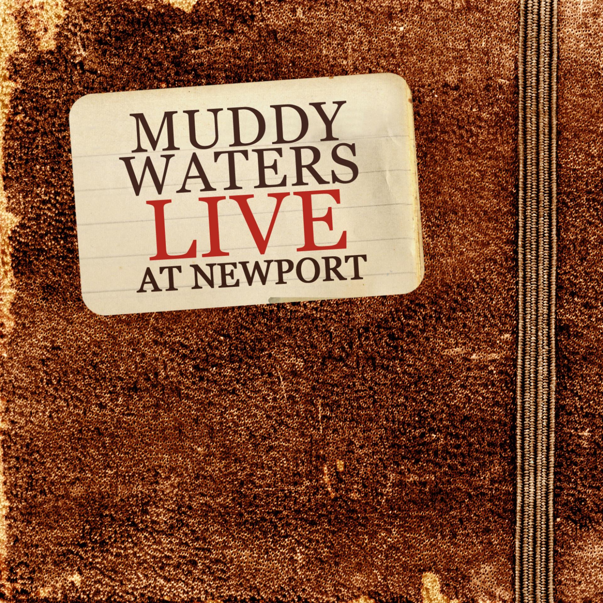 Постер альбома Live At Newport