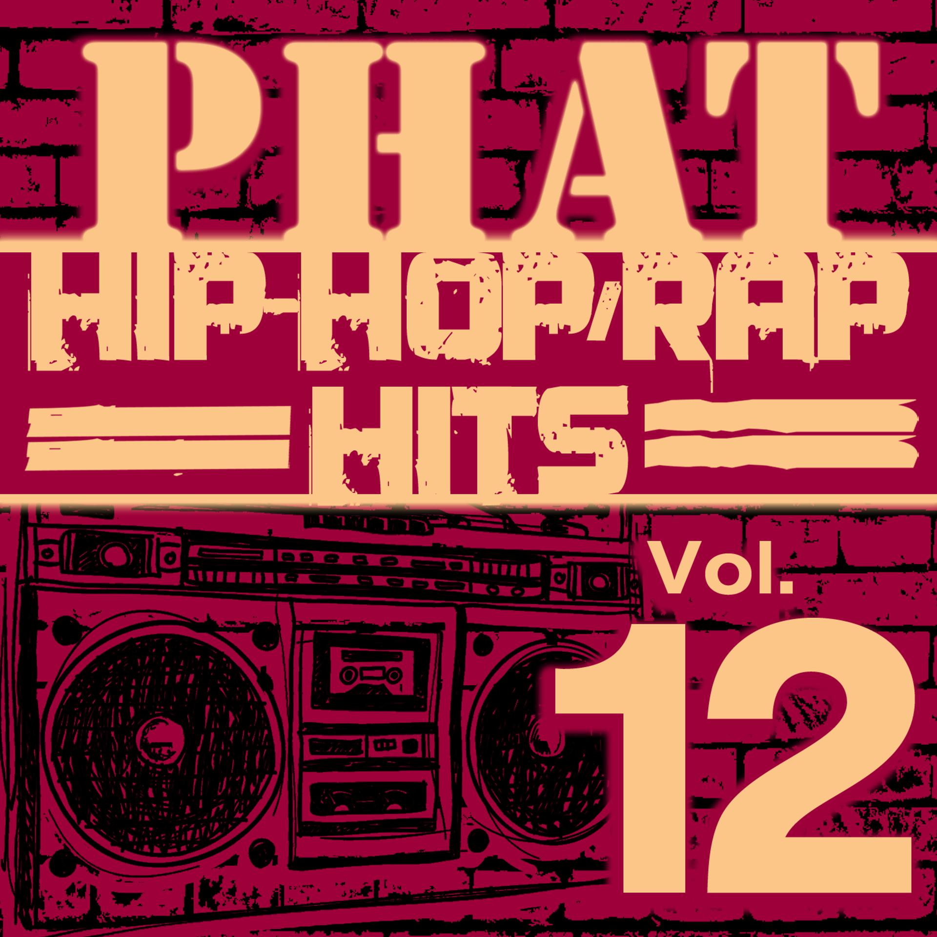 Постер альбома Phat Hip-Hop/Rap Hits, Vol. 12