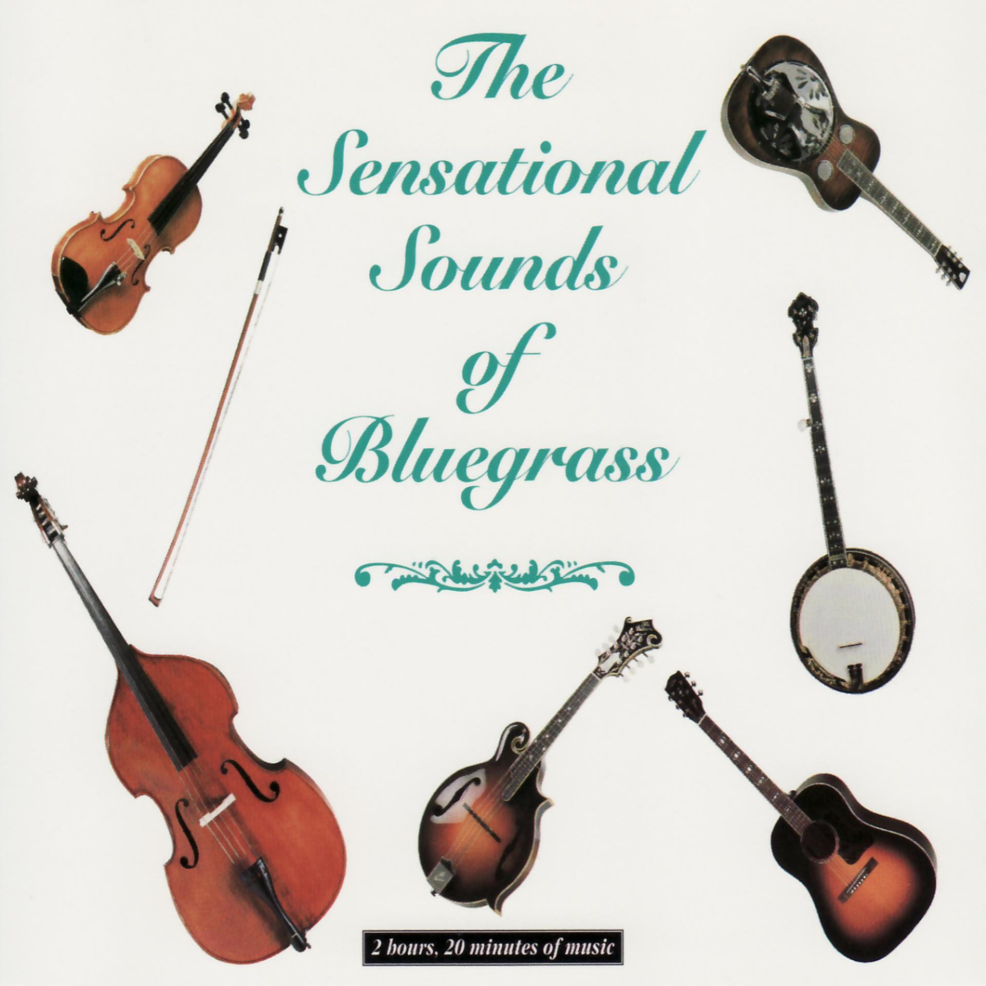 Постер альбома Sensational Sounds of Bluegrass Vol. 1