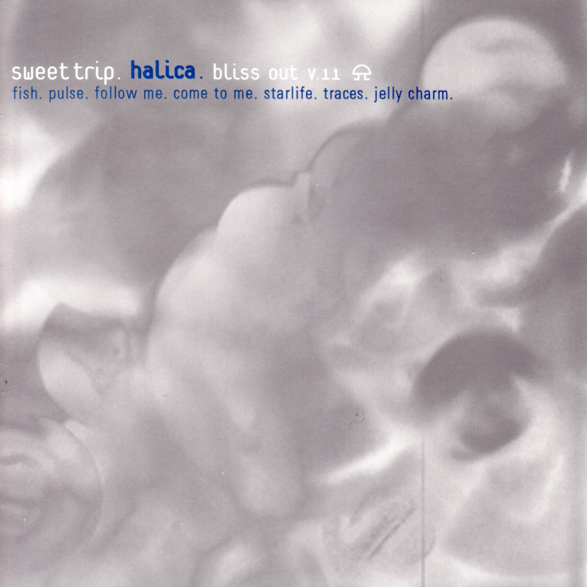 Постер альбома Halica: Bliss Out v.11