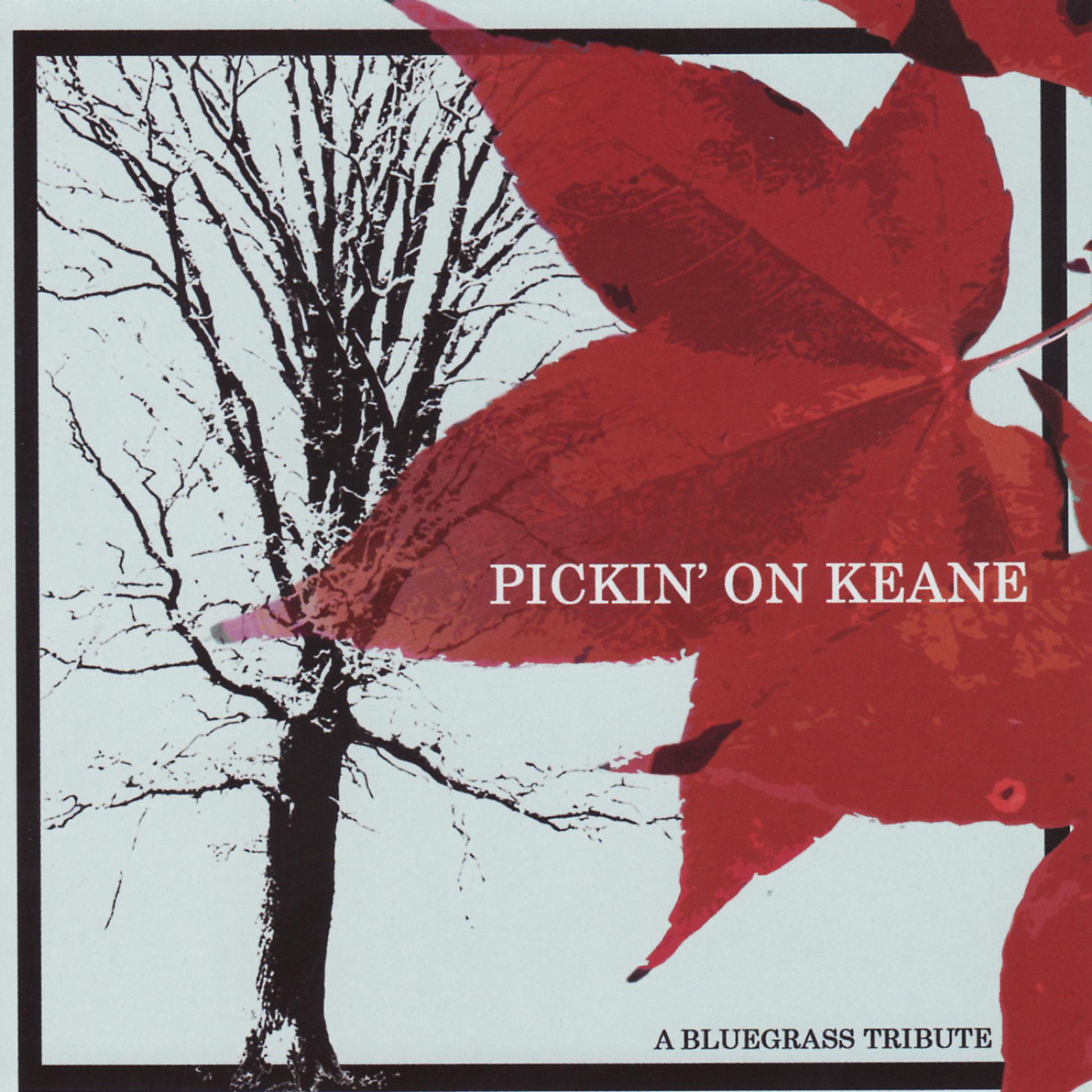 Постер альбома Pickin' On Keane: A Bluegrass Tribute