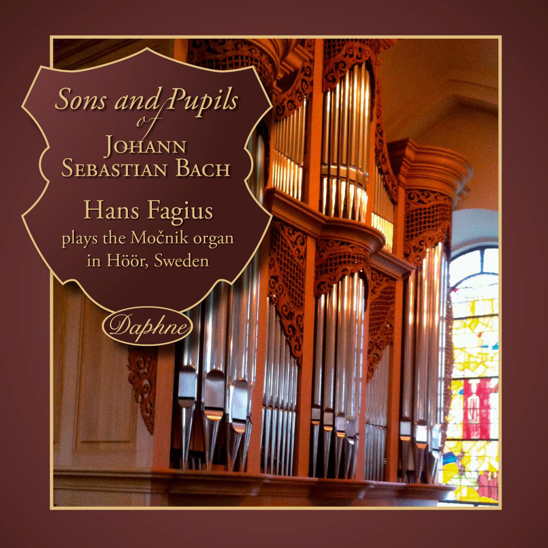 Постер альбома Sons and pupils of Johann Sebastian Bach