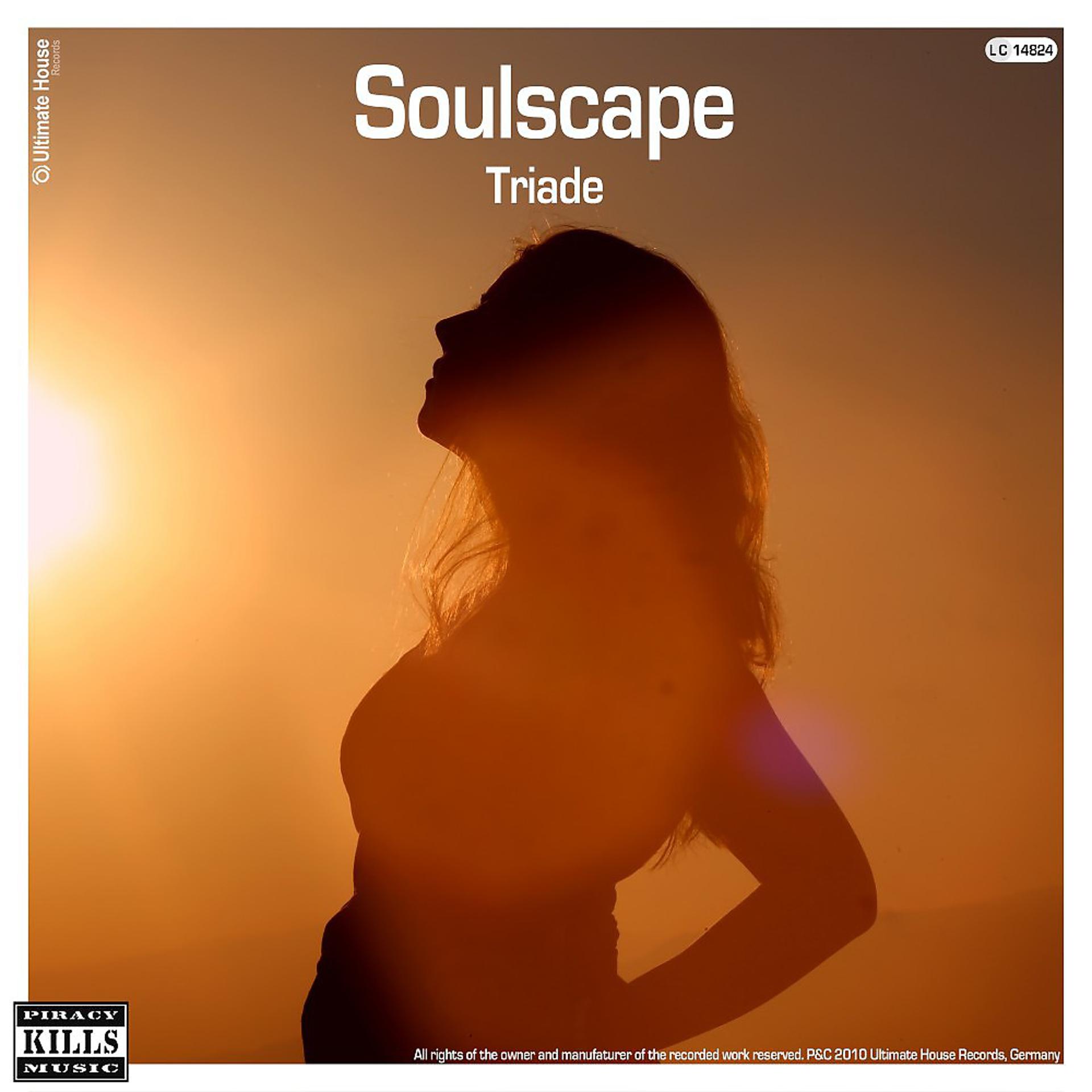 Постер альбома Soulscape