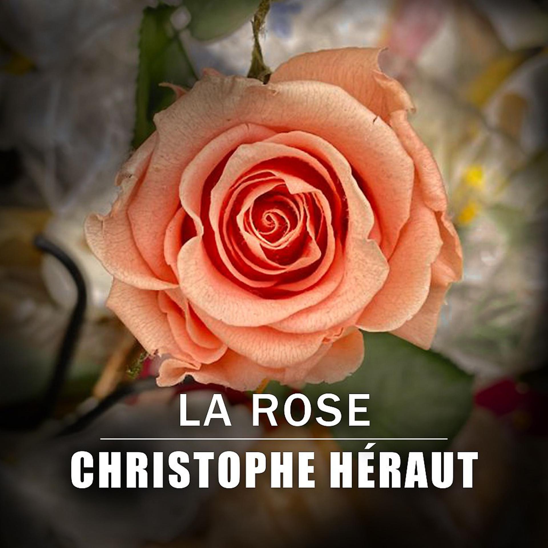 Постер альбома La rose