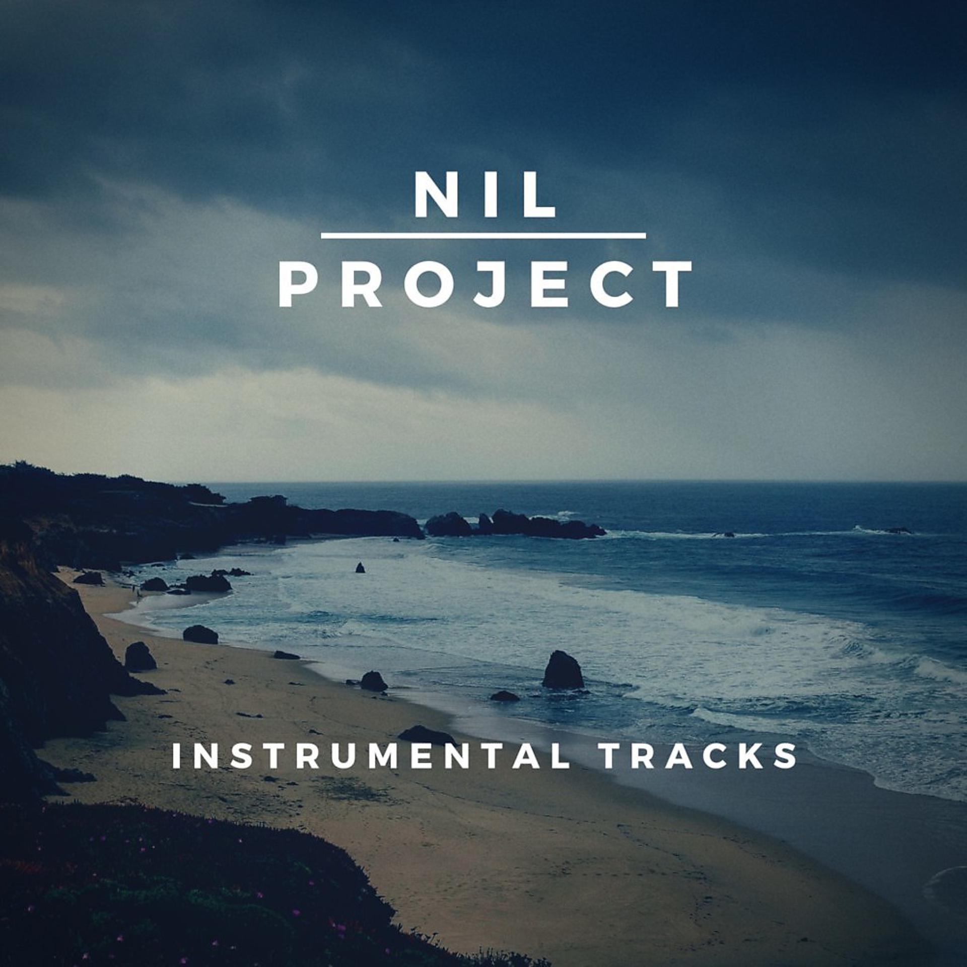 Постер альбома Nil project instrumental tracks
