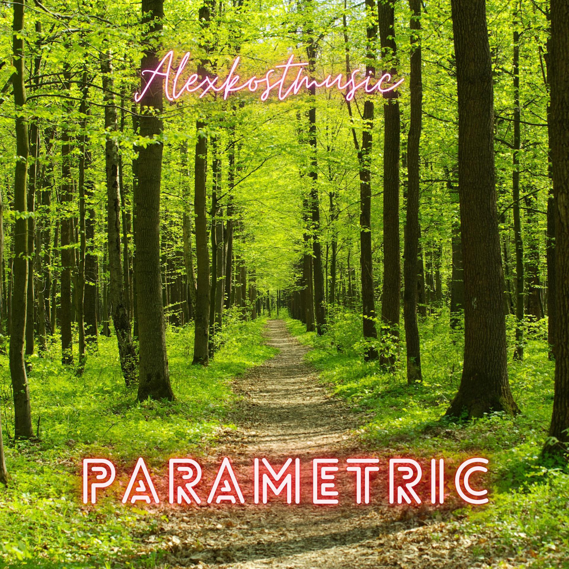 Постер альбома Parametric