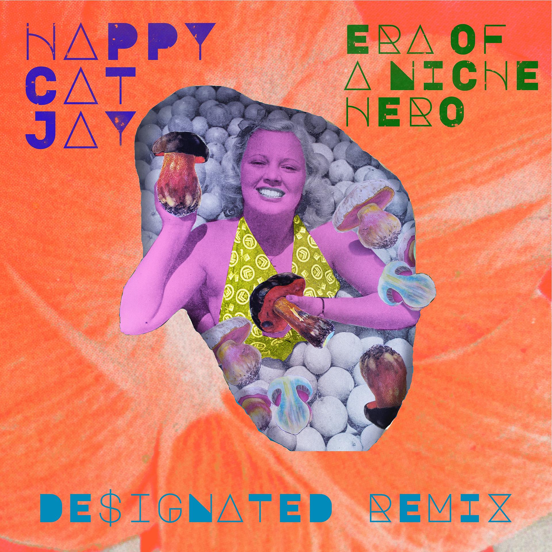 Постер альбома Era of a Niche Hero (De$ignated Remix)