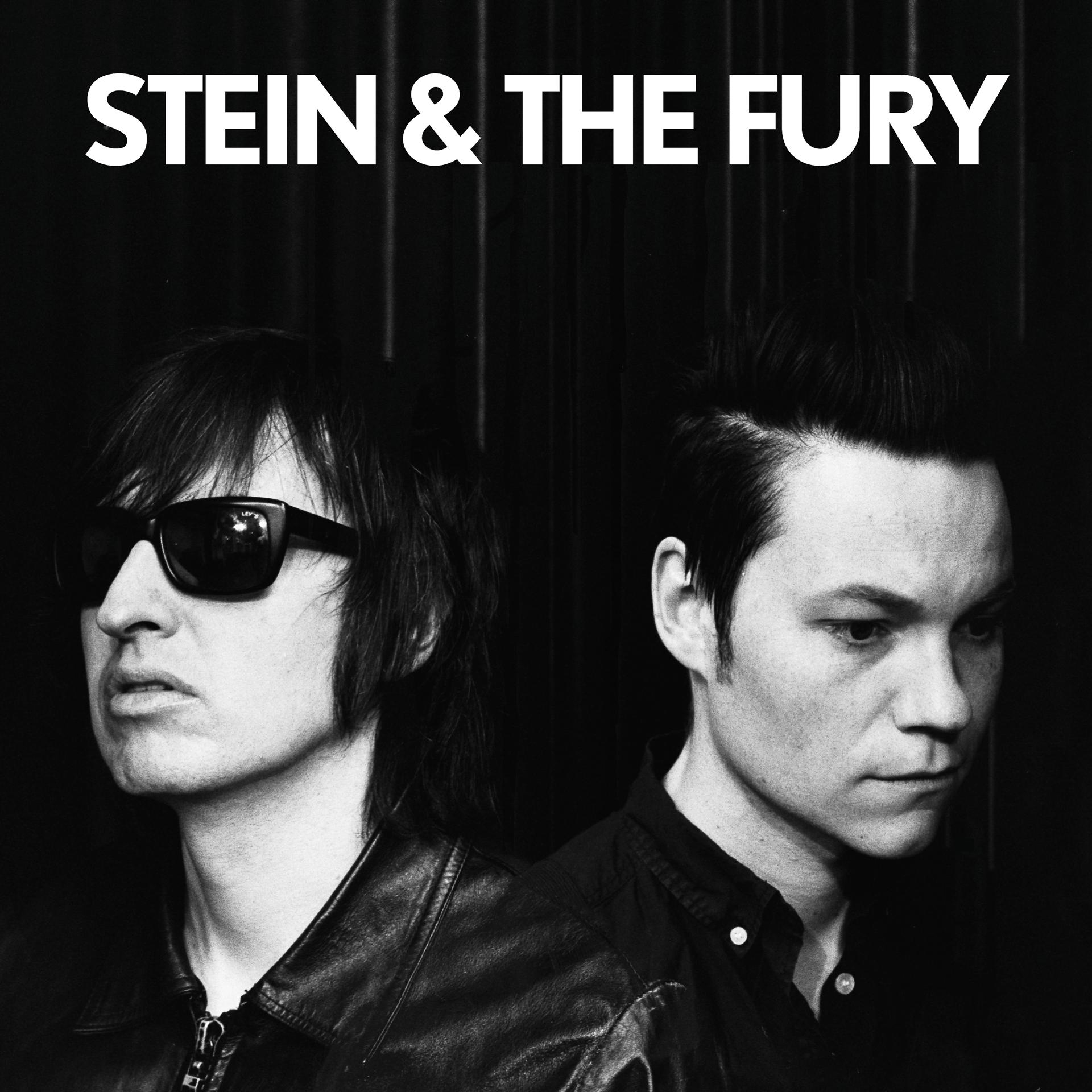 Постер альбома Stein and the Fury