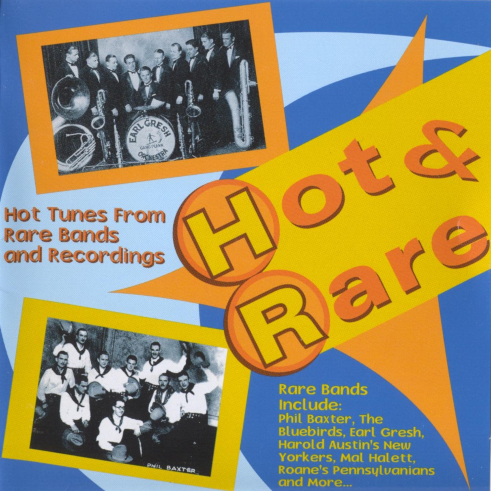 Постер альбома Hot & Rare (Hot Tunes from Rare Bands and Recordings)