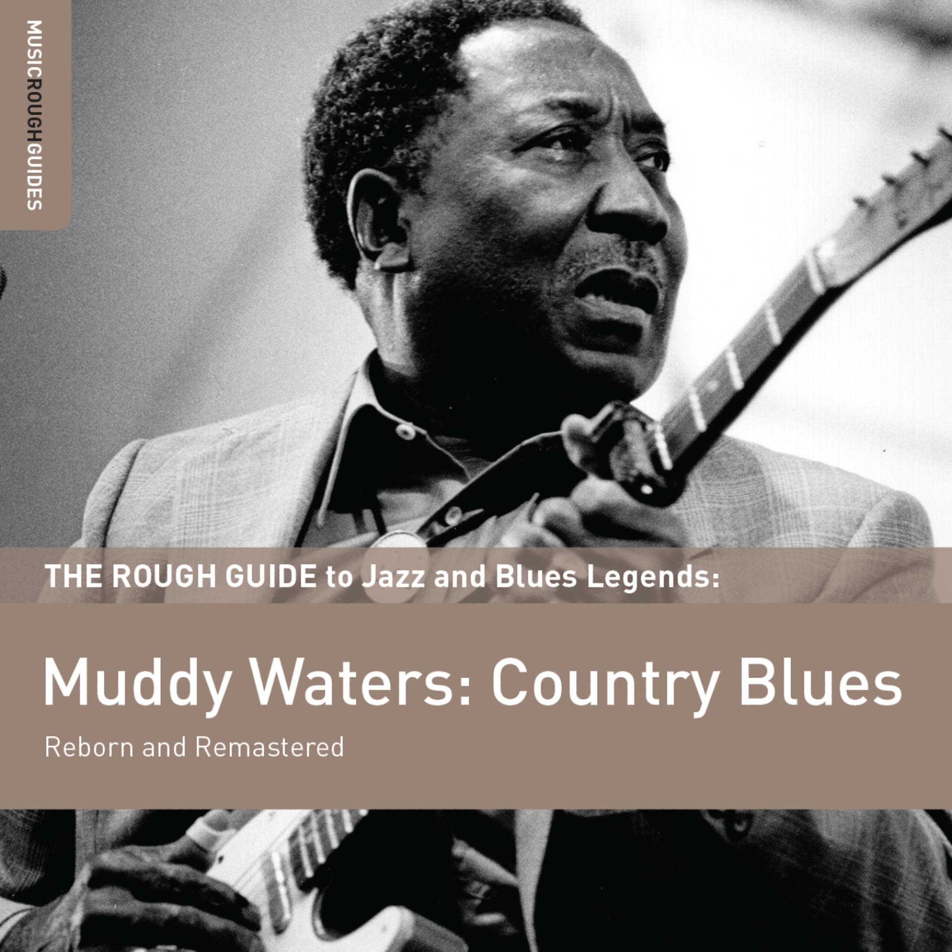 Постер альбома Rough Guide To Muddy Waters: Country Blues