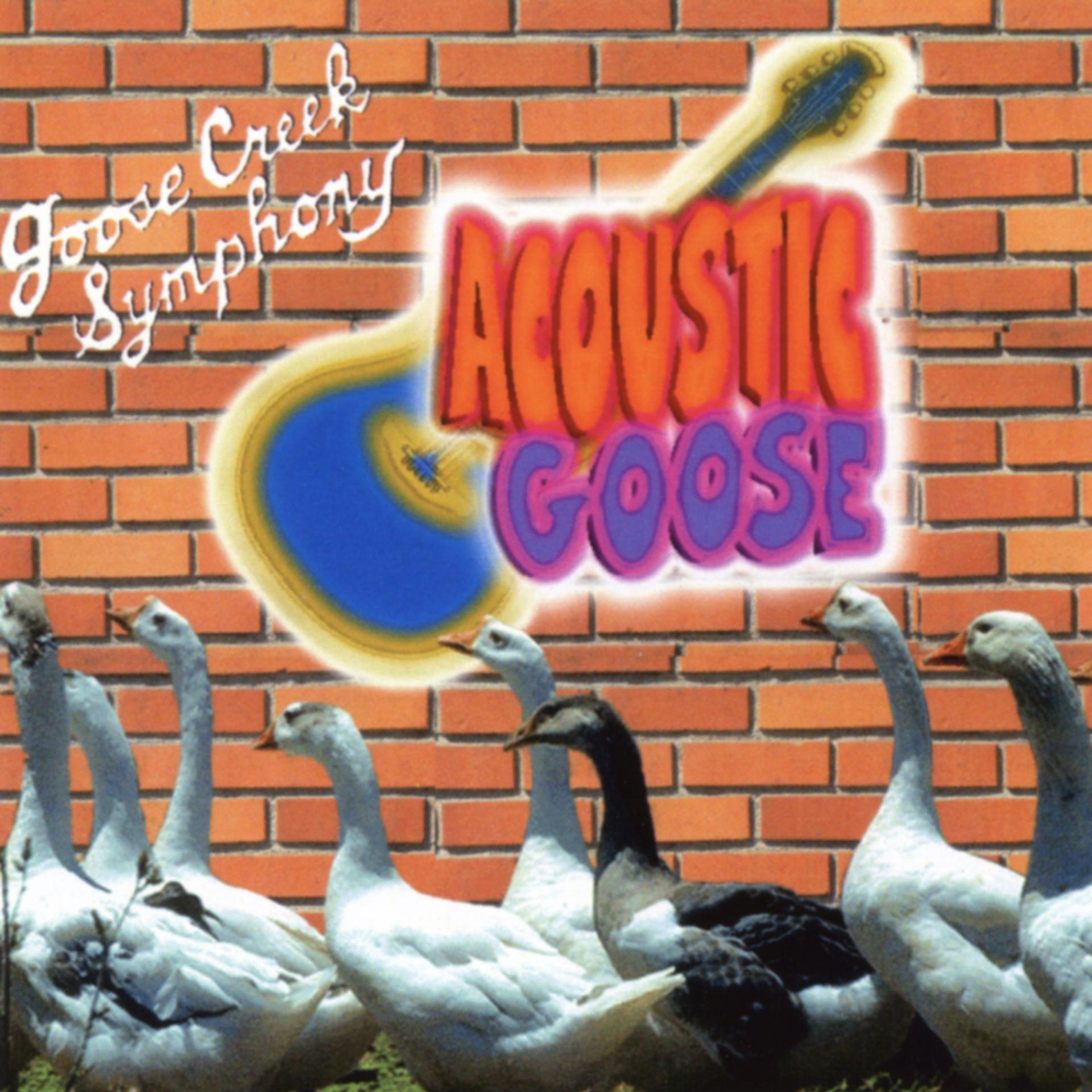 Постер альбома Acoustic Goose