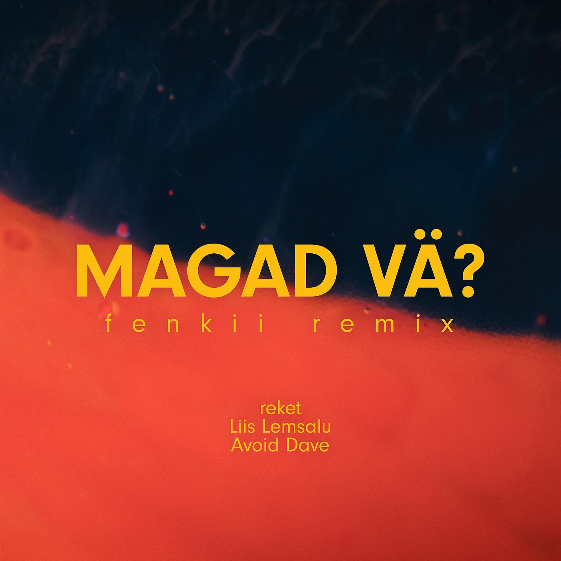 Постер альбома Magad vä?