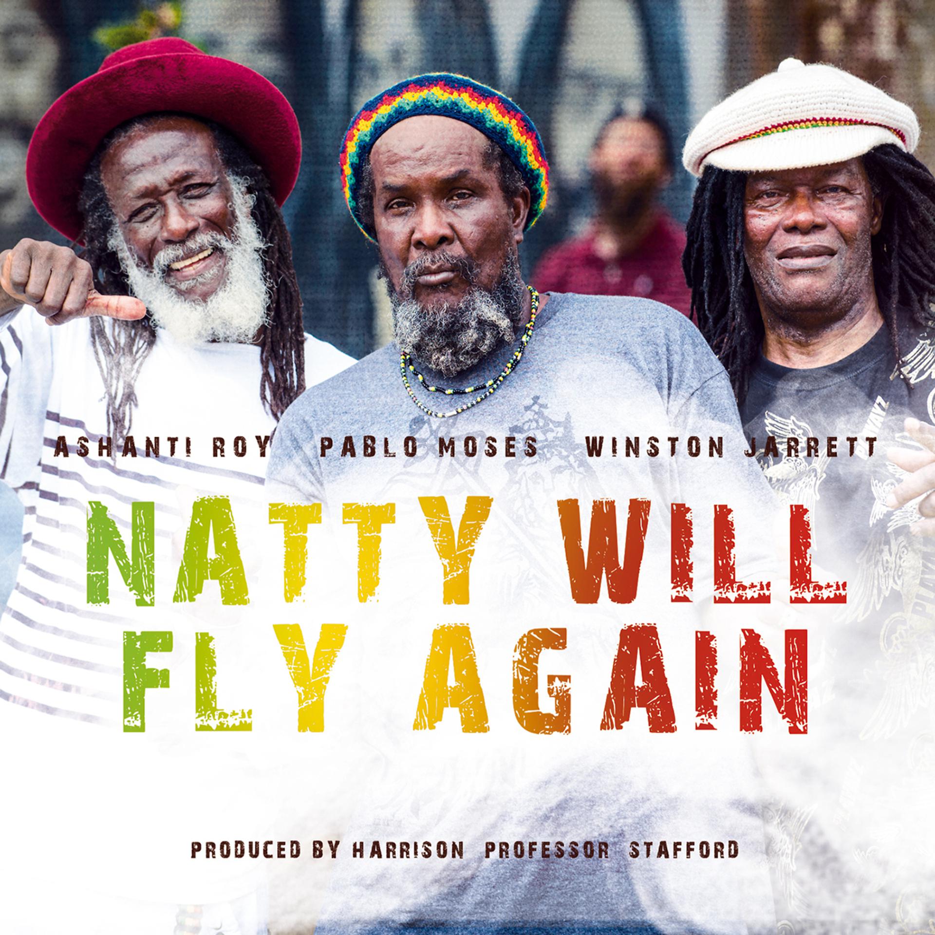 Постер альбома Natty Will Fly Again