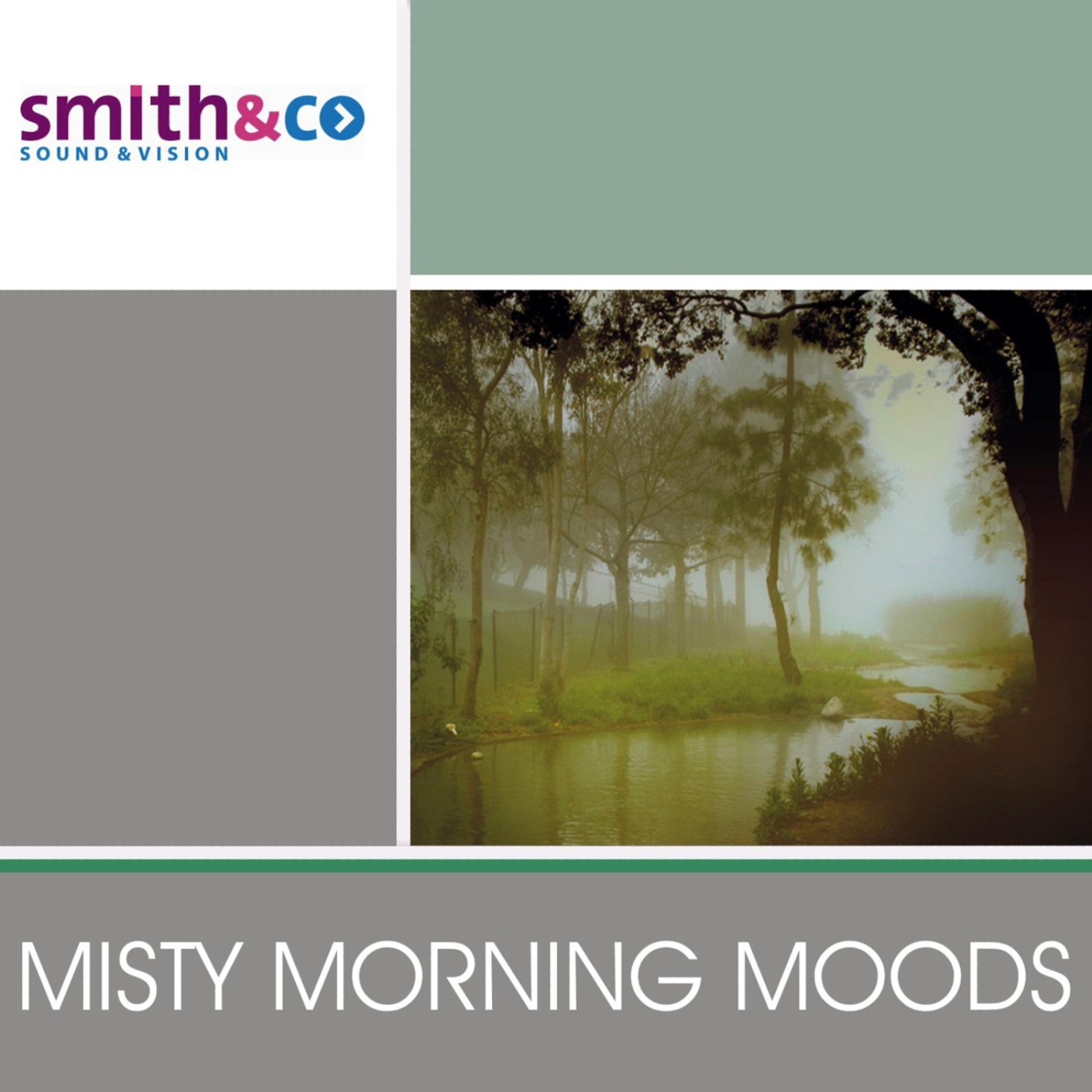 Постер альбома Misty Morning Moods