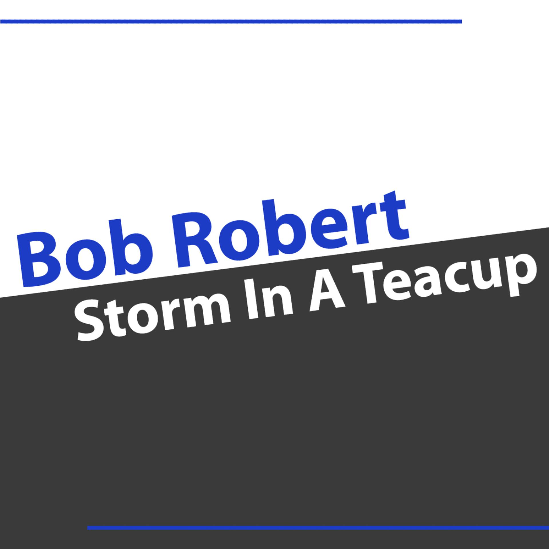 Постер альбома Storm In A Teacup - Single