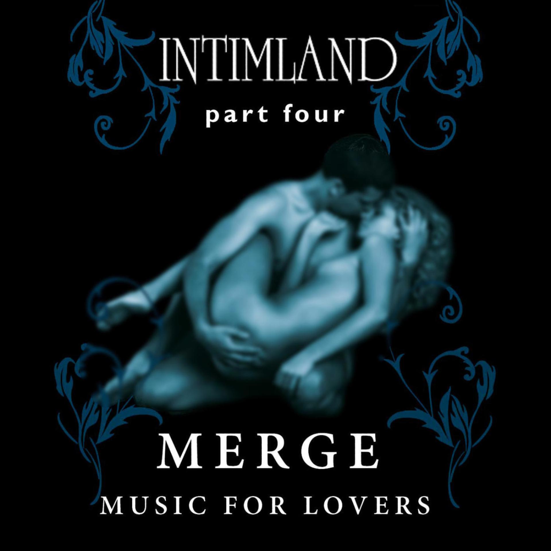 Постер альбома Intimland Part 4 - Merge